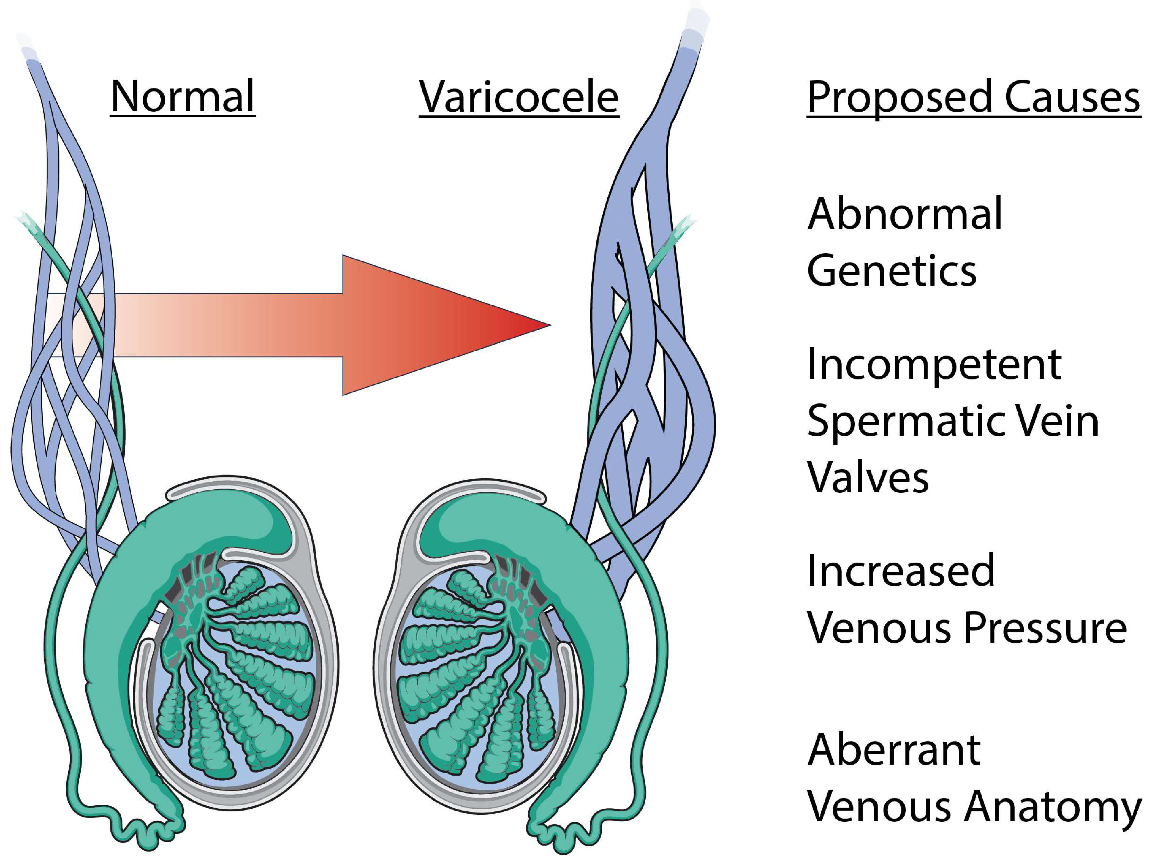 Biology 13 00080 g002