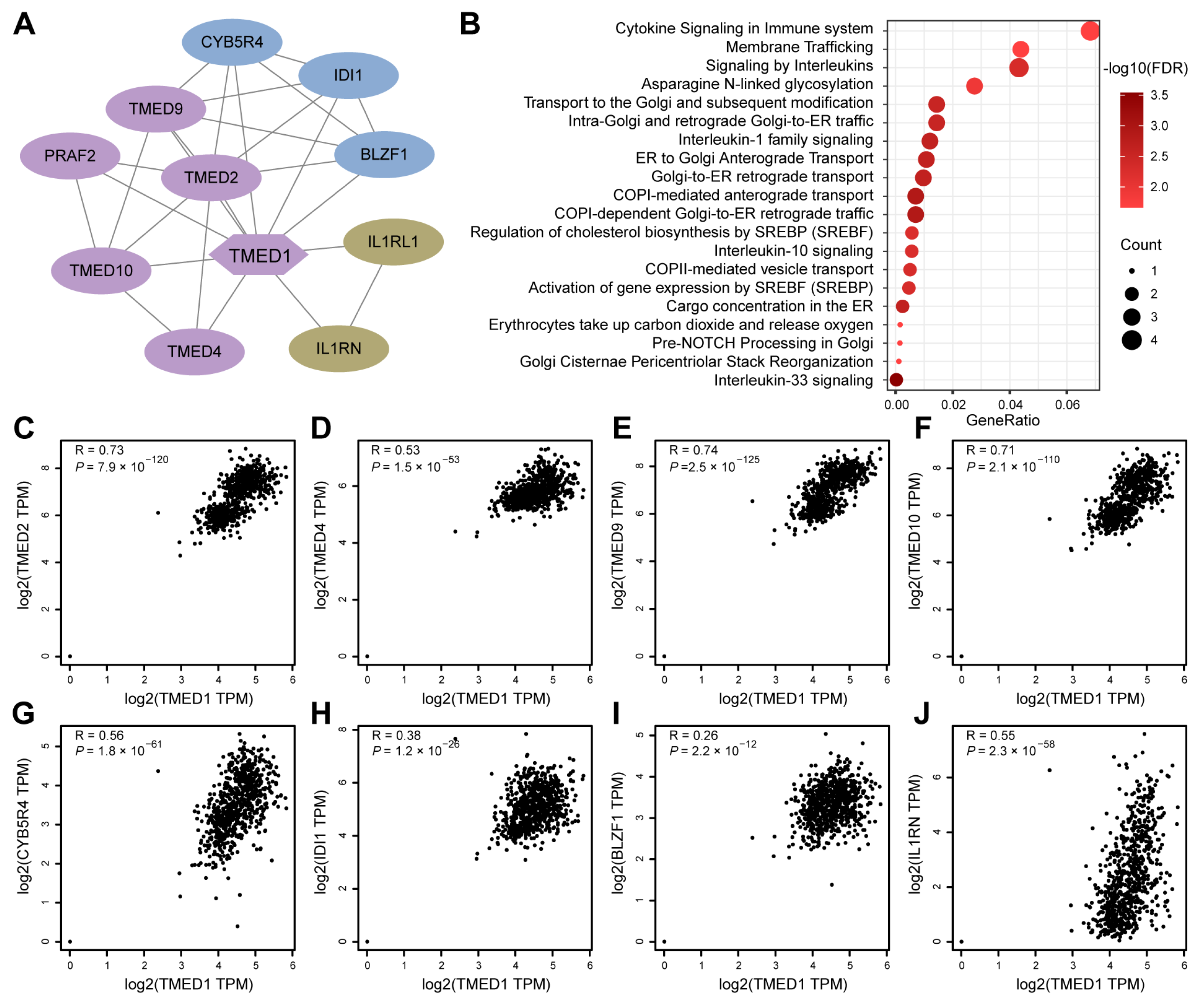 Biology 13 00083 g004