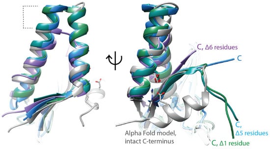 Biology 13 00084 g002