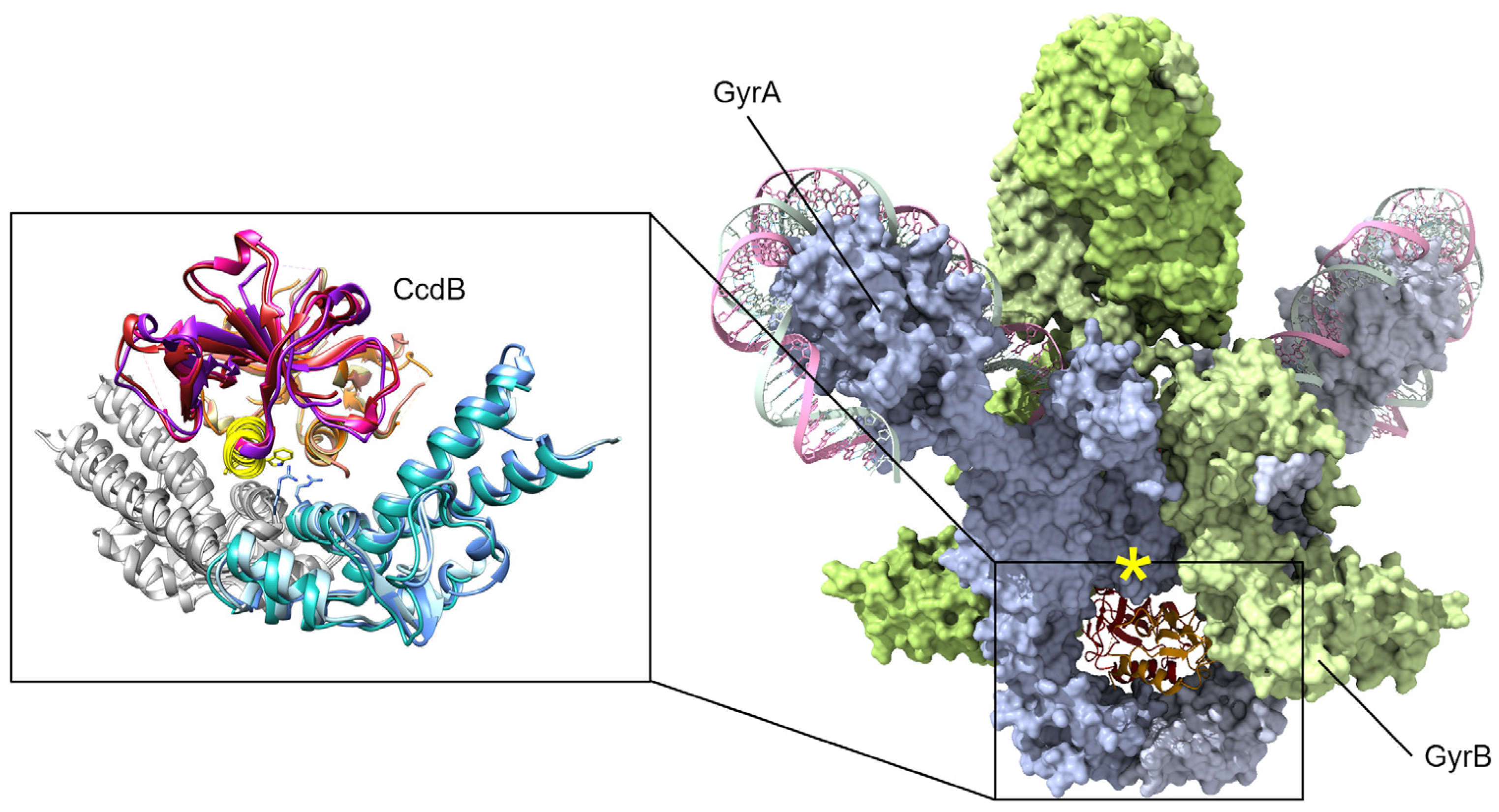 Biology 13 00084 g003