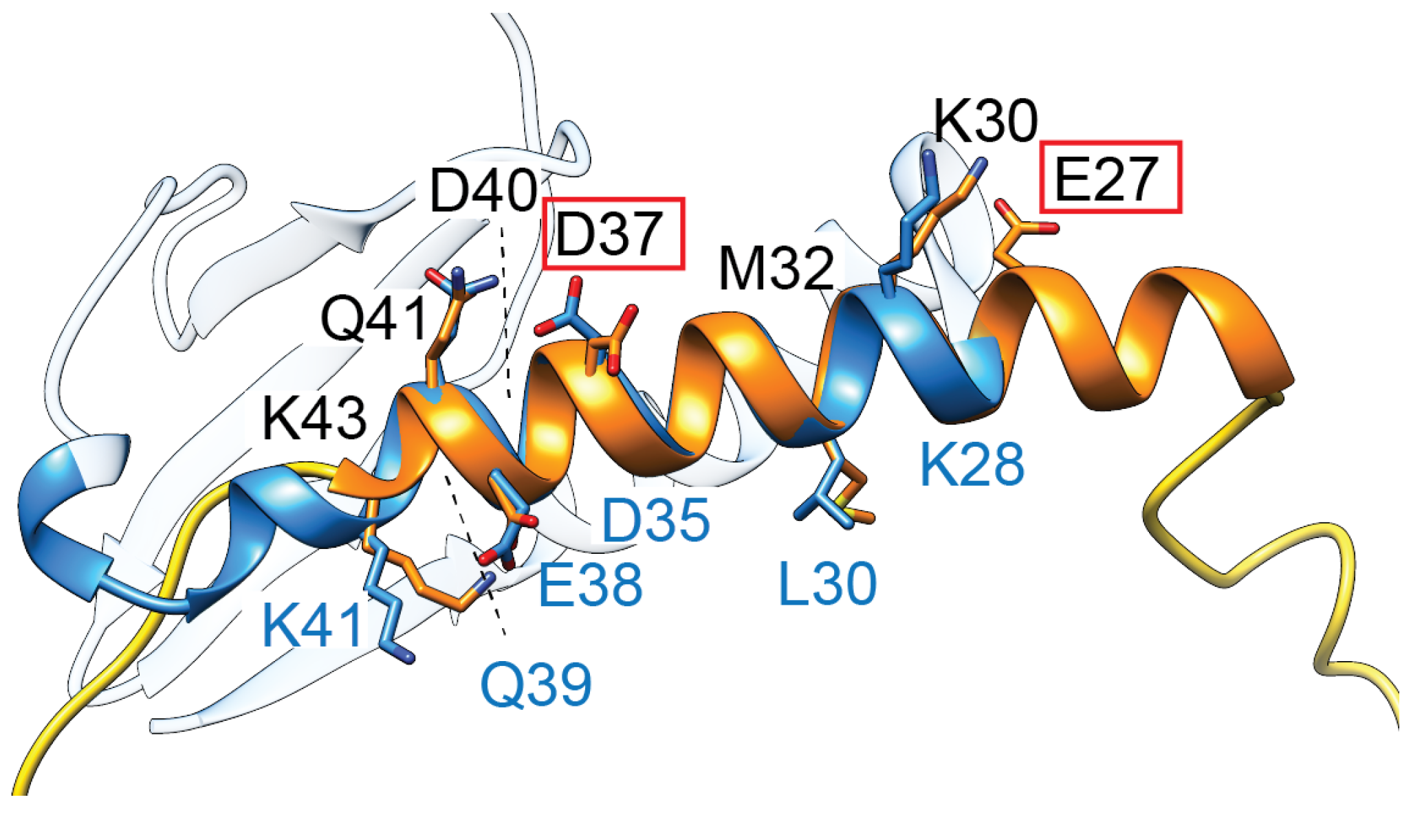 Biology 13 00084 g004