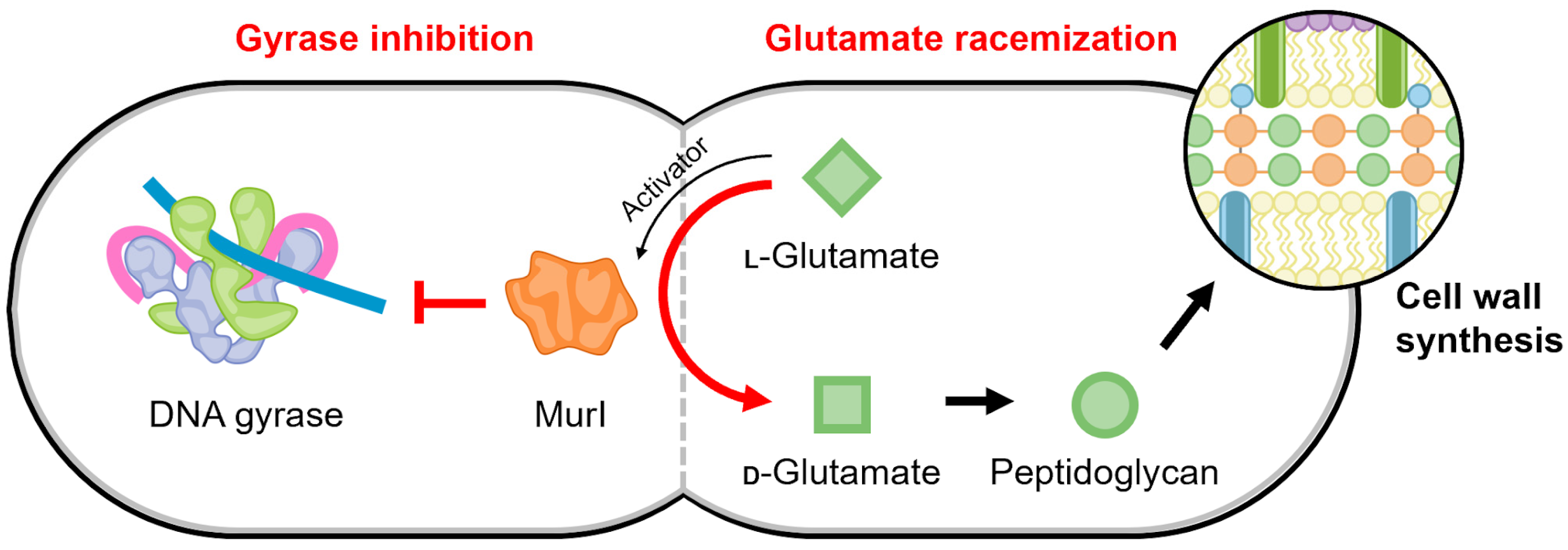 Biology 13 00084 g007