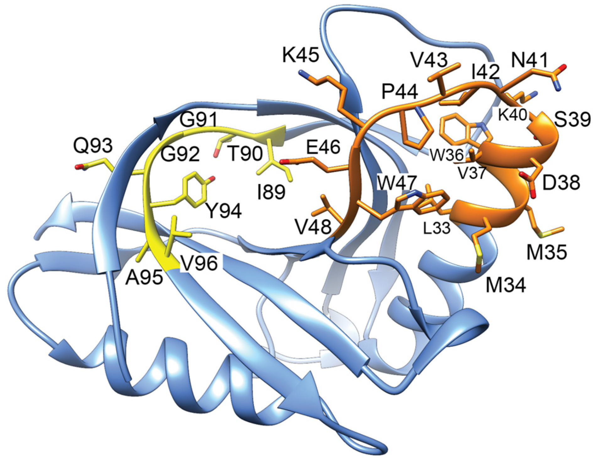 Biology 13 00084 g008