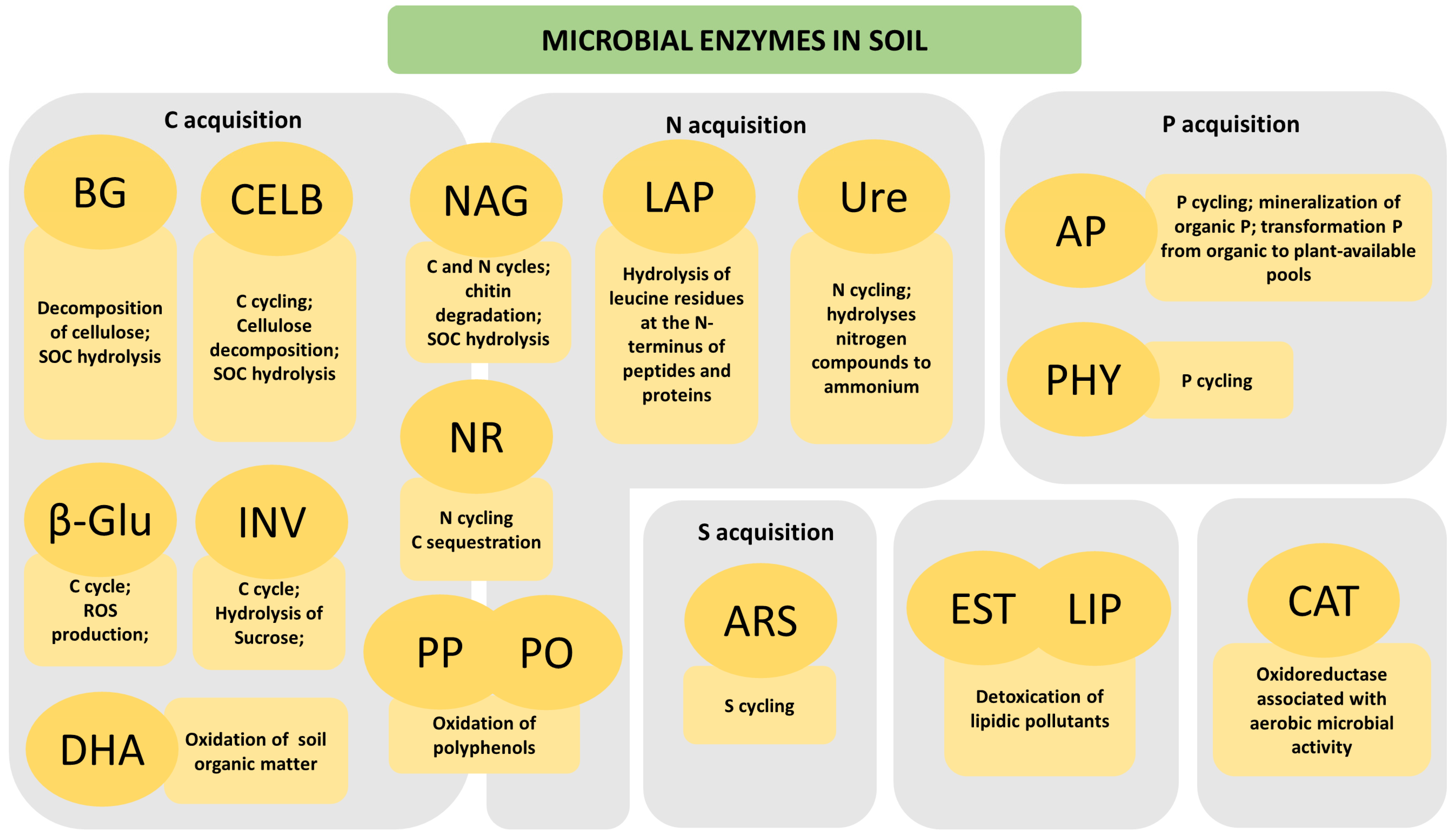 Biology 13 00085 g001