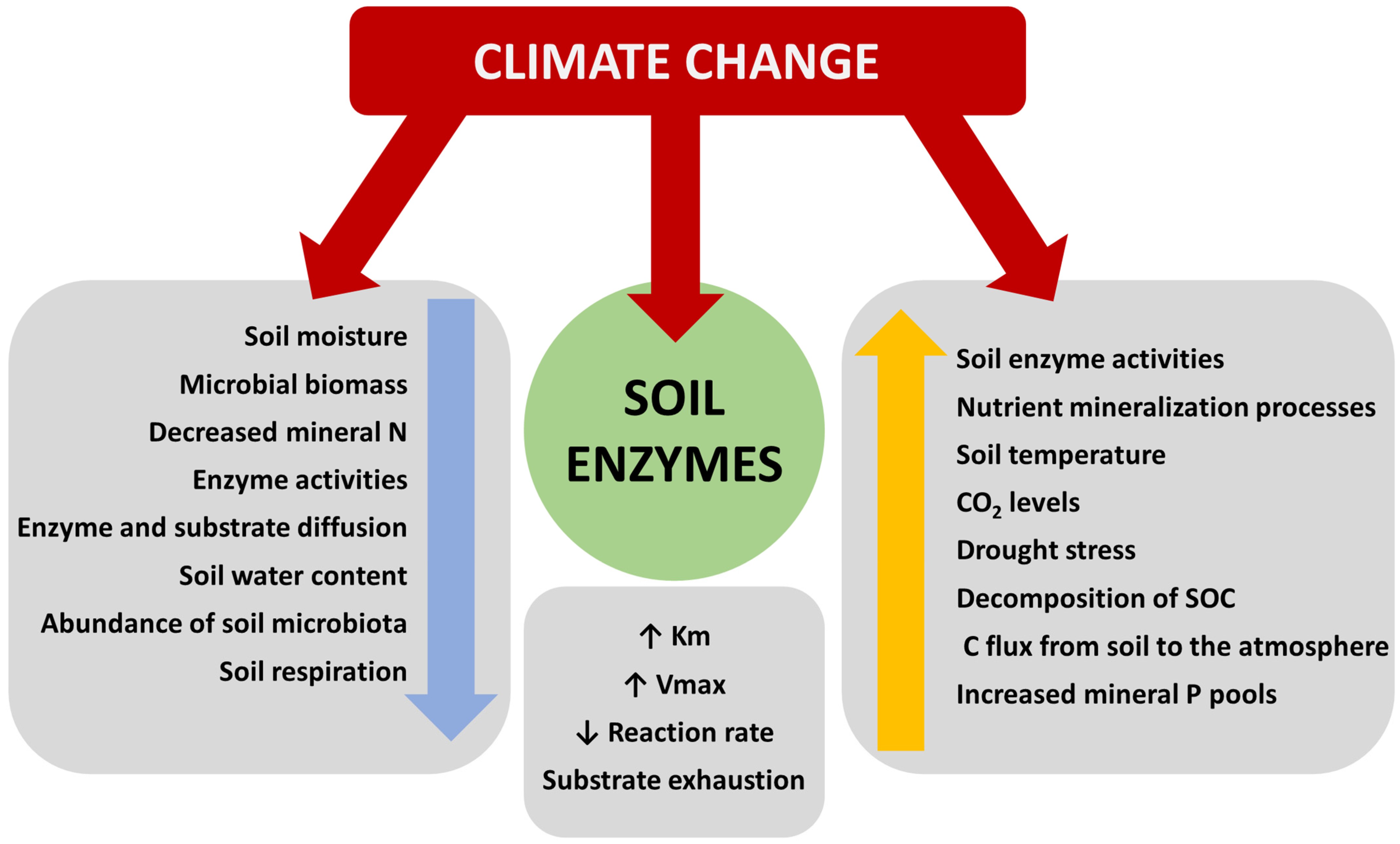 Biology 13 00085 g002
