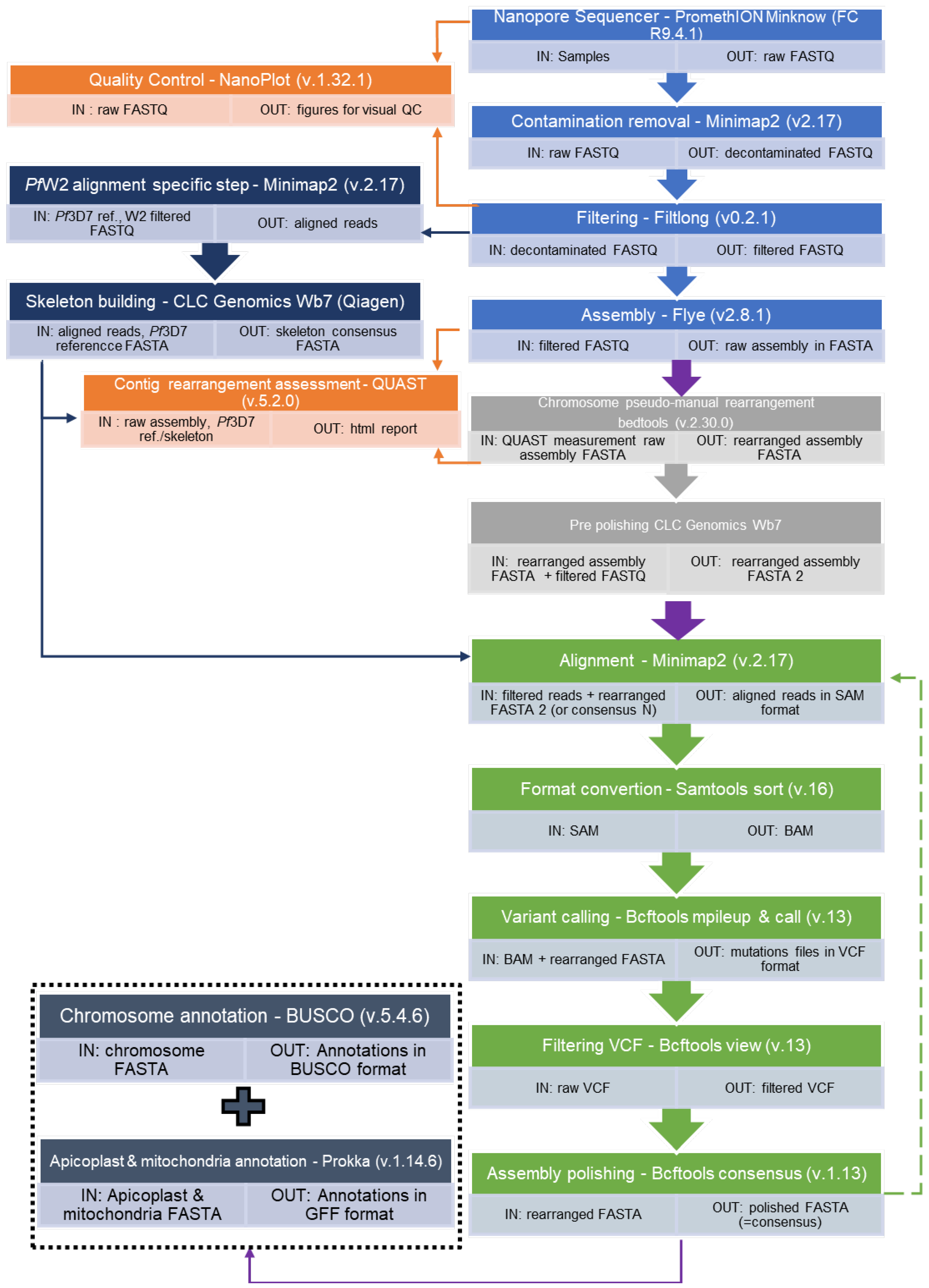 Biology 13 00089 g001