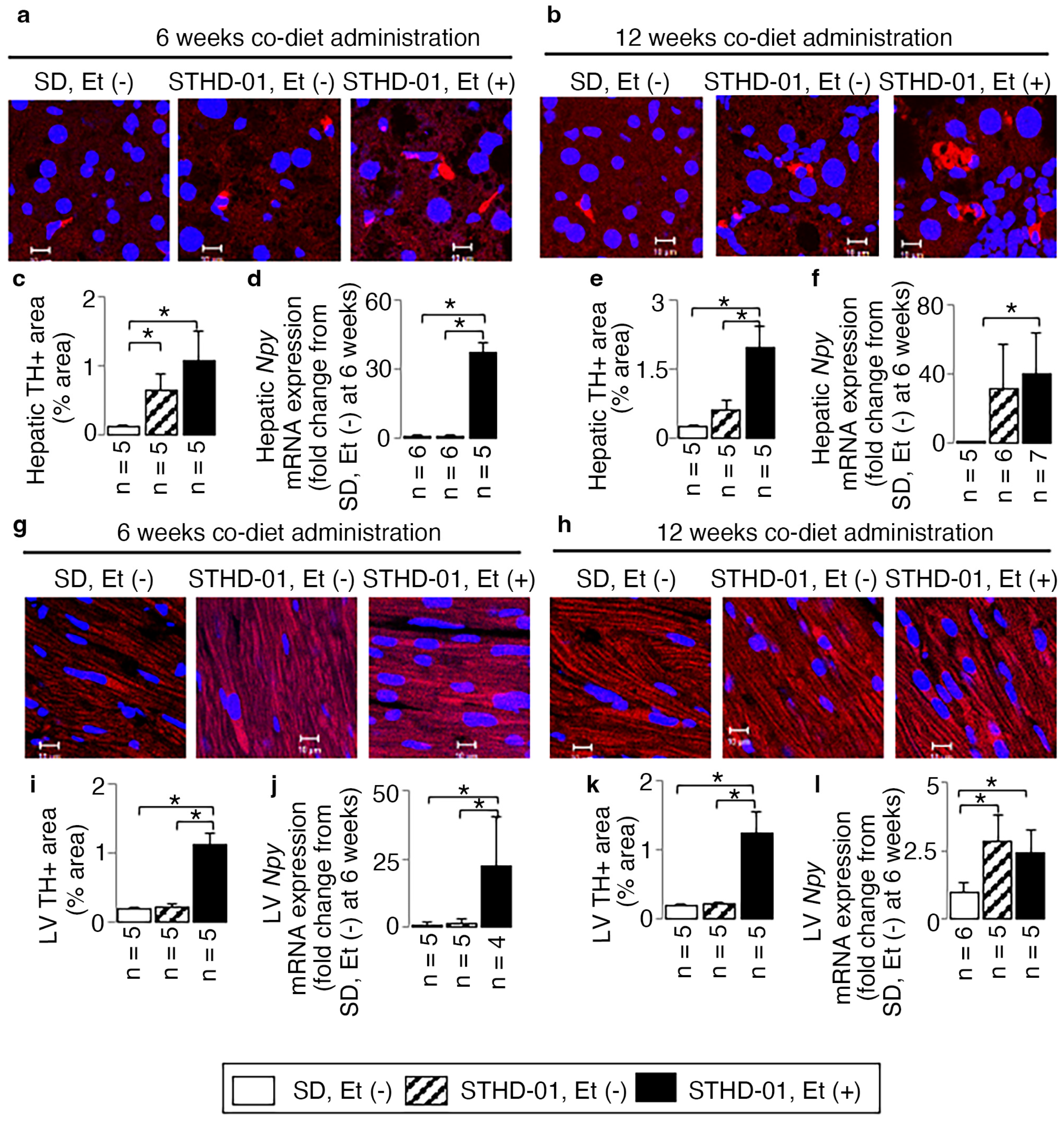 Biology 13 00091 g008