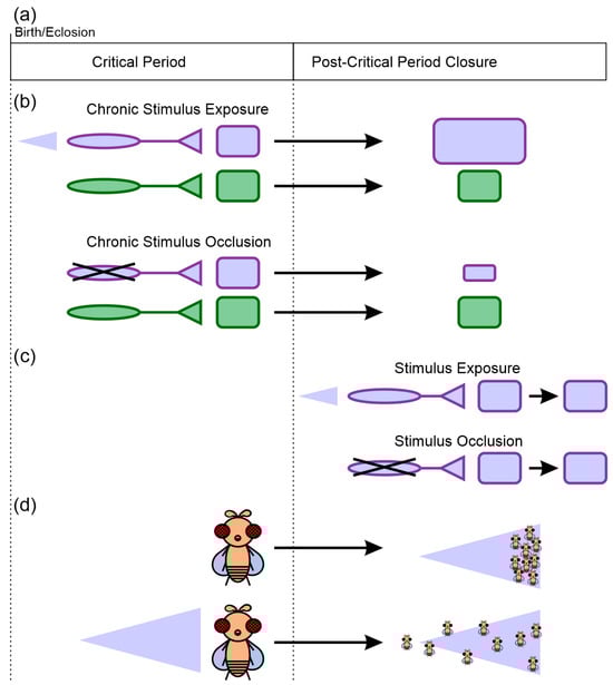 Biology 13 00094 g001