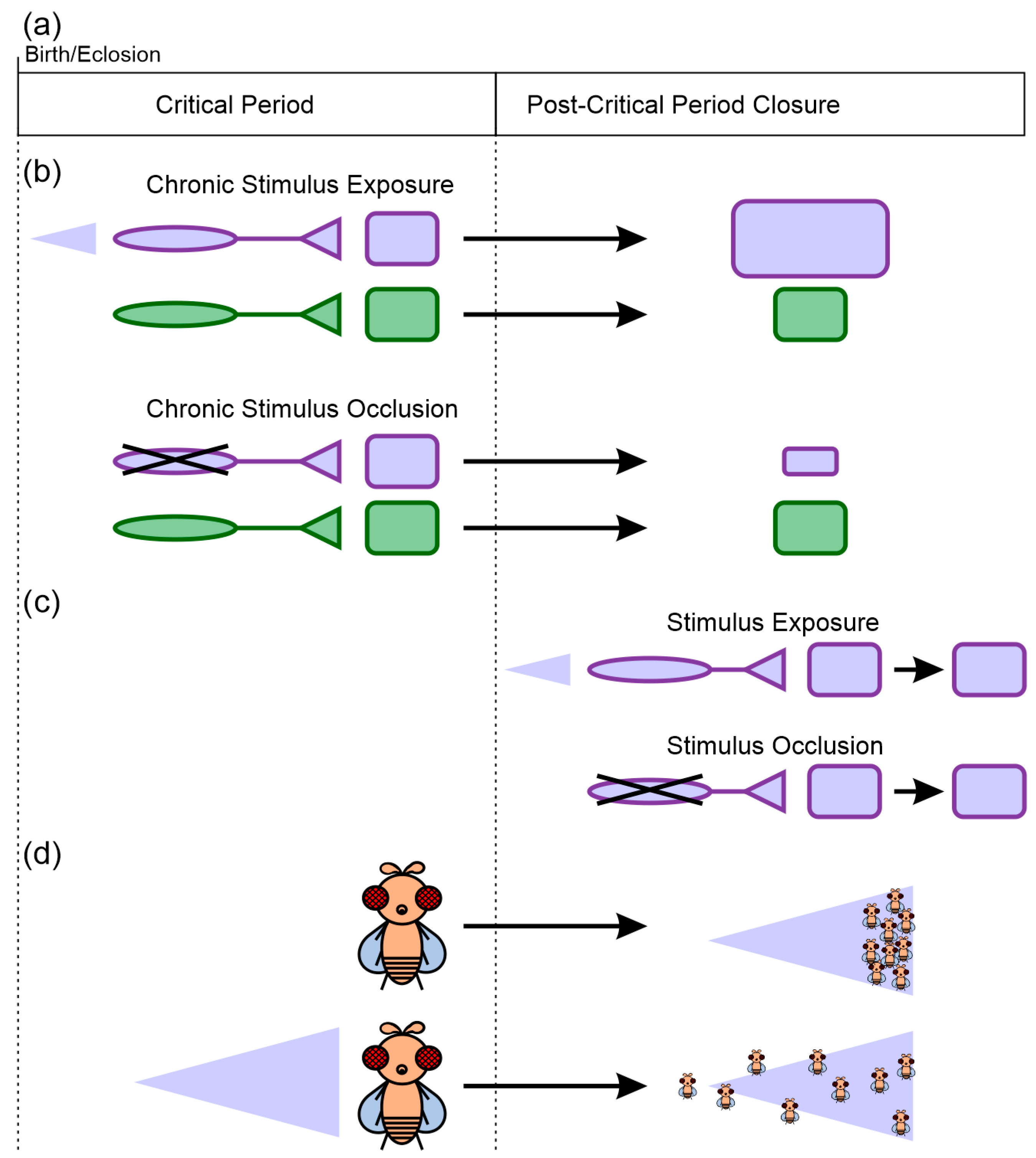 Biology 13 00094 g001