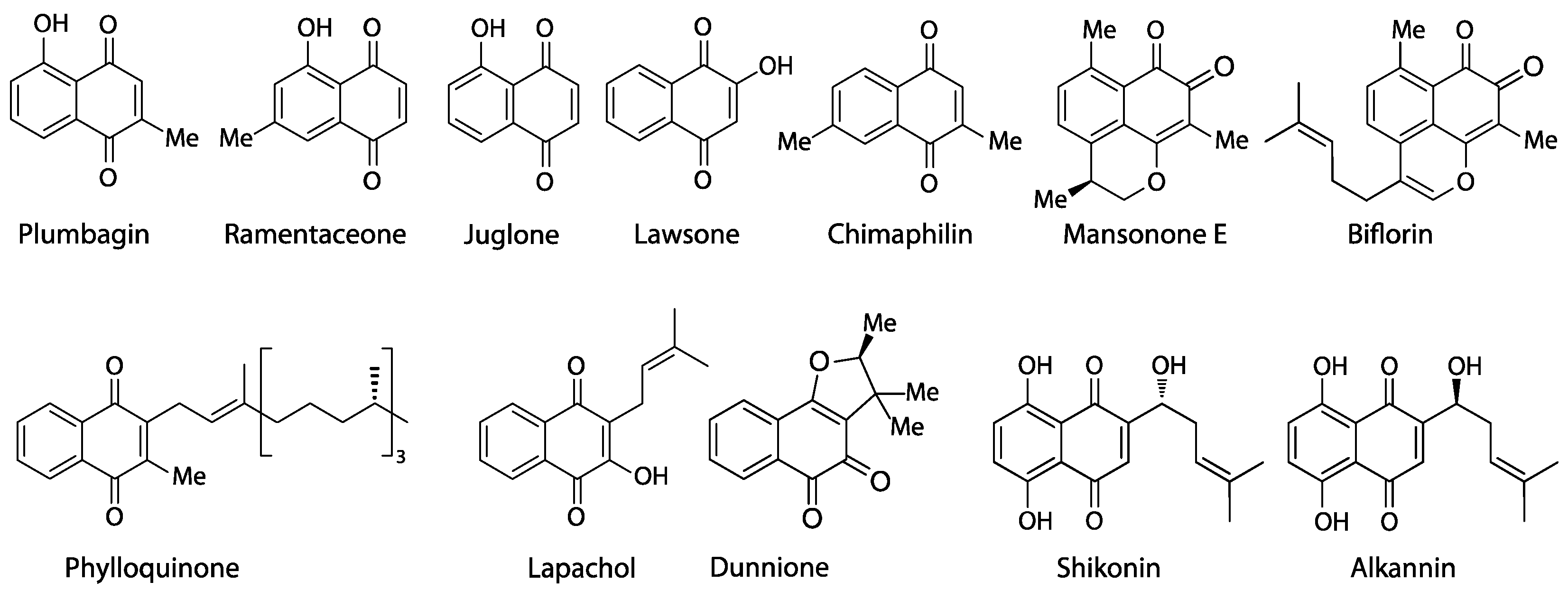 Biology 13 00097 g001