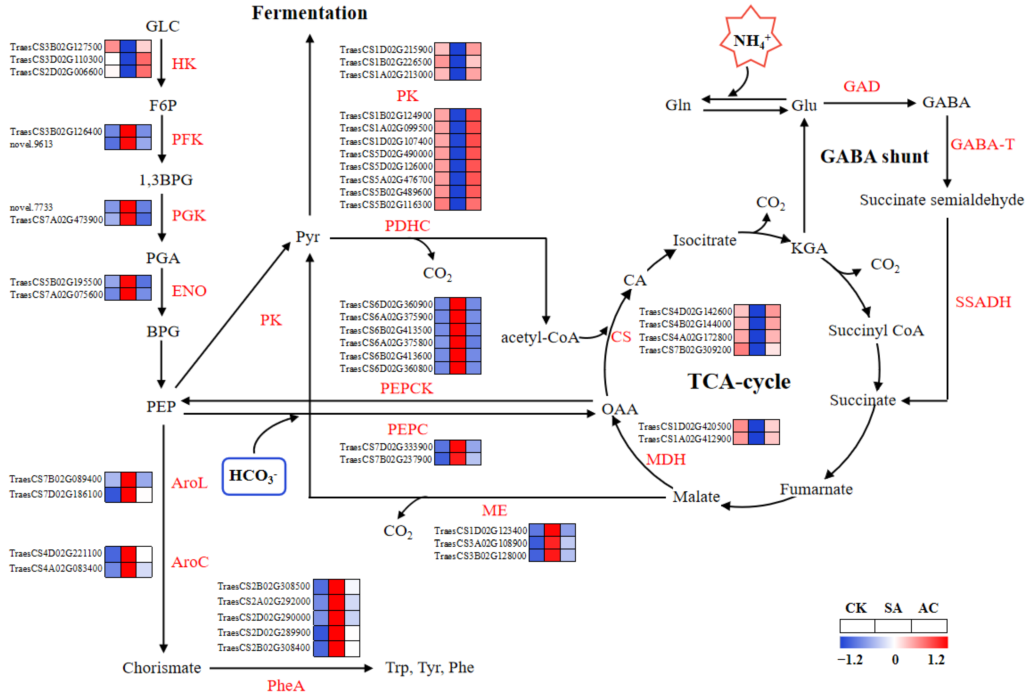 Biology 13 00101 g005