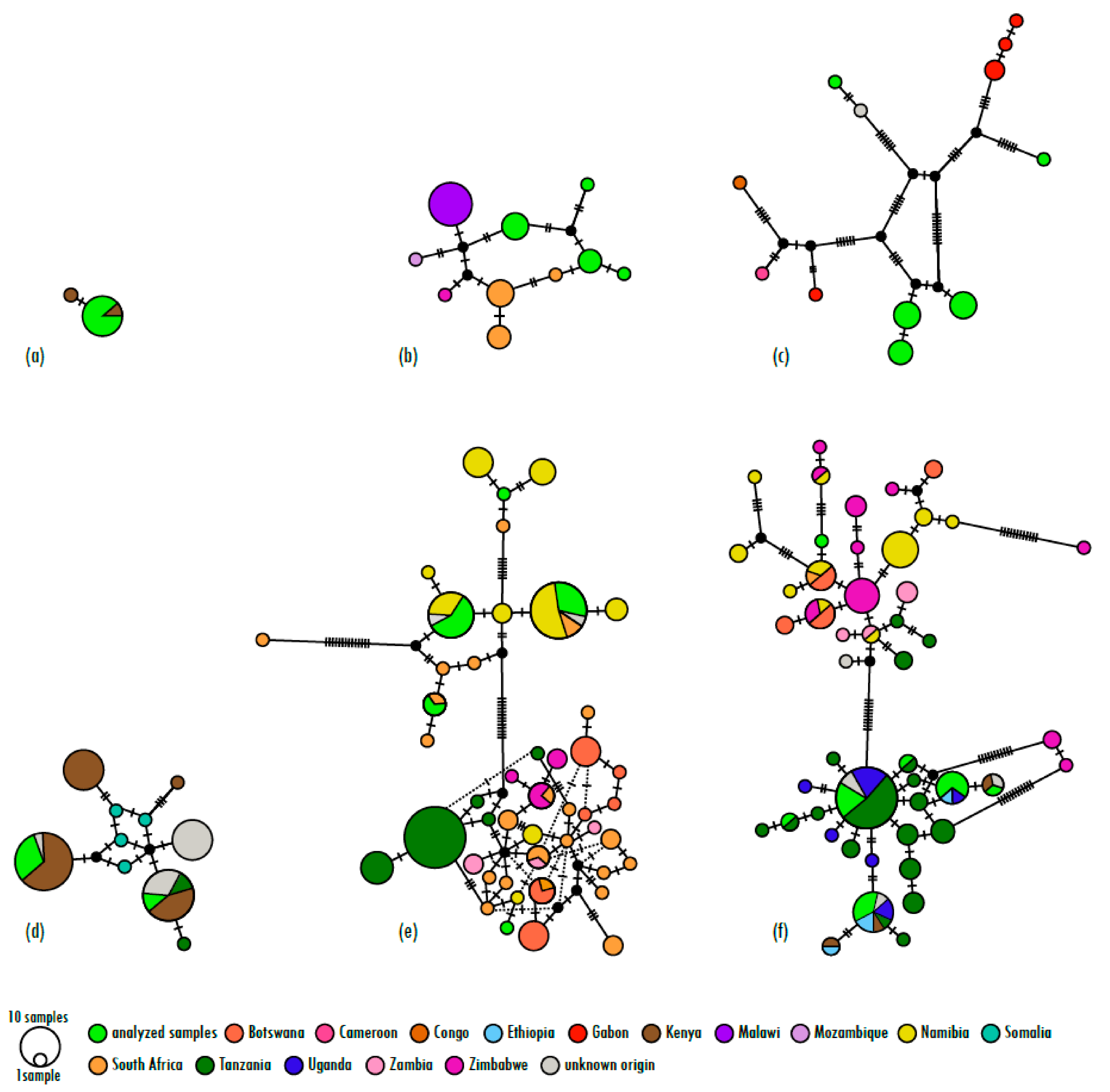 Biology 13 00104 g001