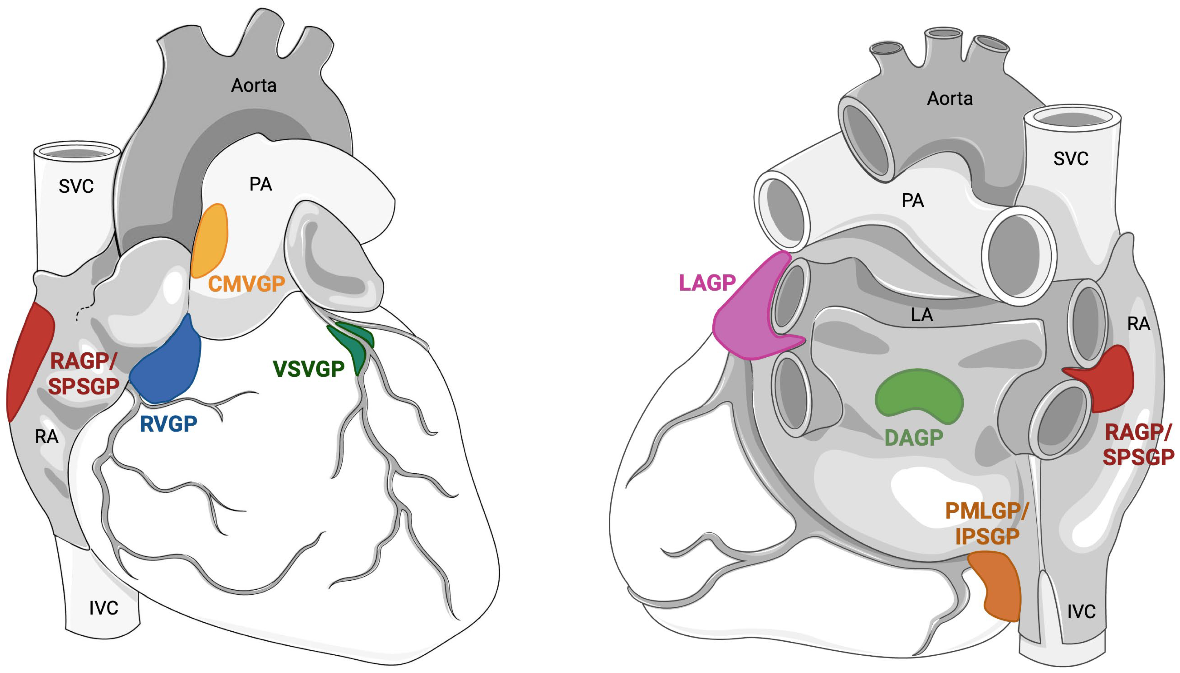 Biology 13 00105 g002 Biology 13 00105 g002