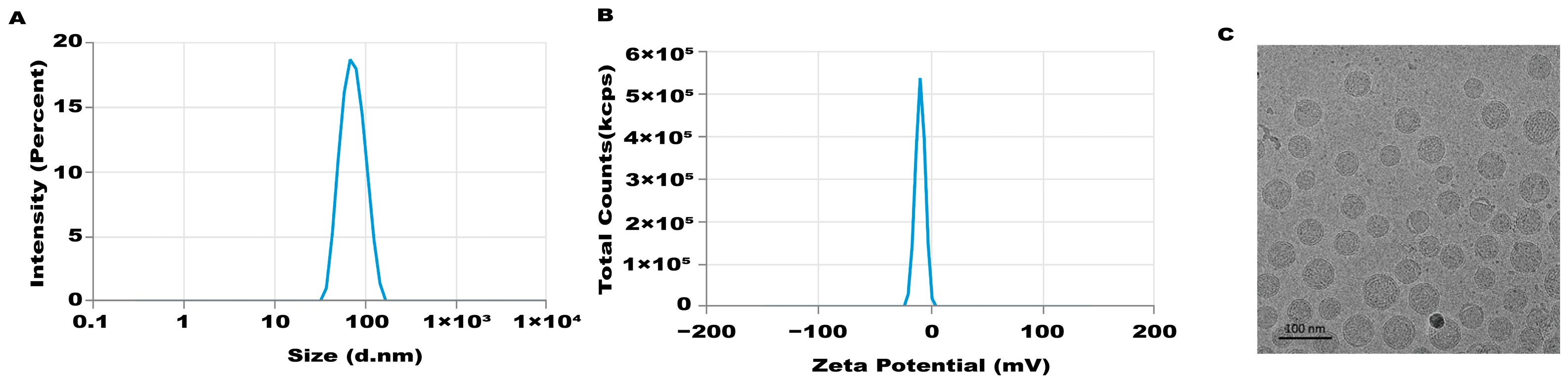 Biology 13 00106 g001