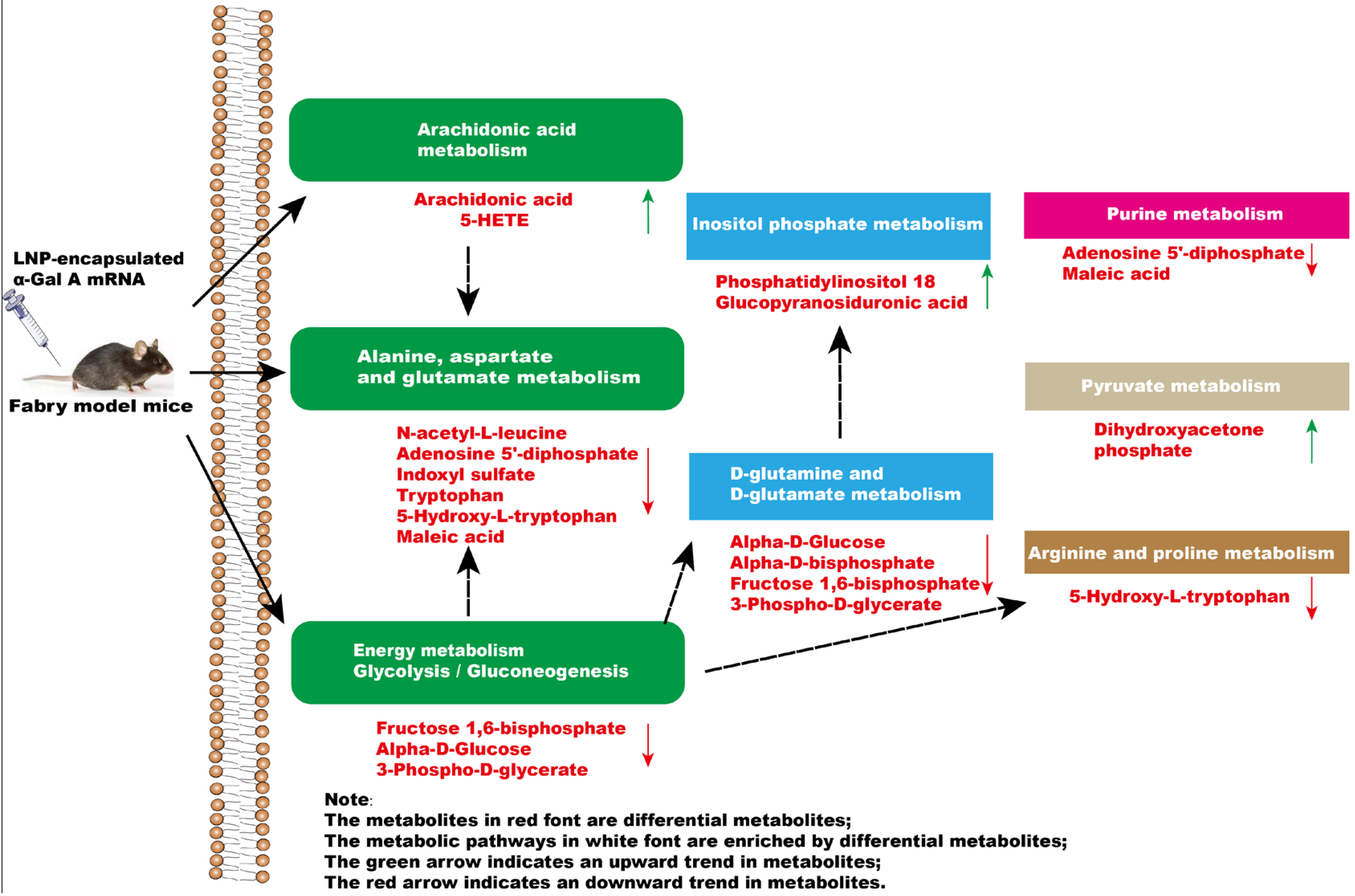 Biology 13 00106 g006