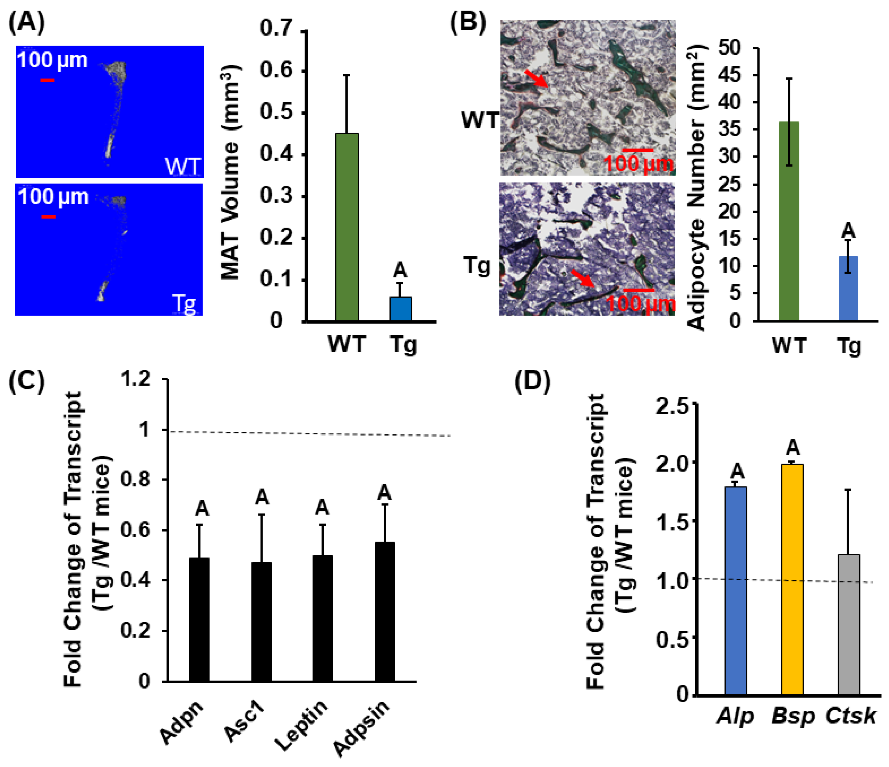 Biology 13 00108 g005