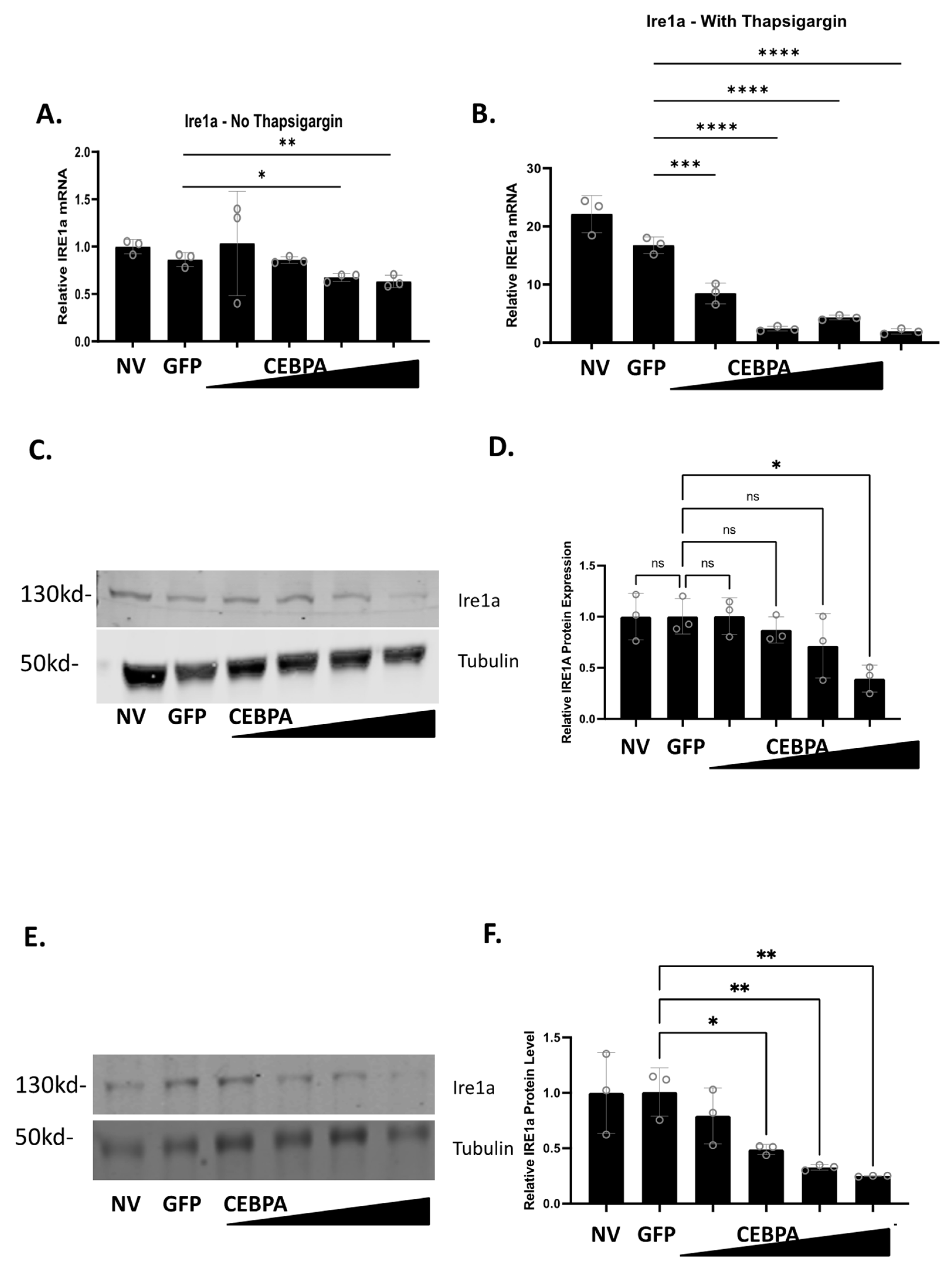 Biology 13 00110 g006