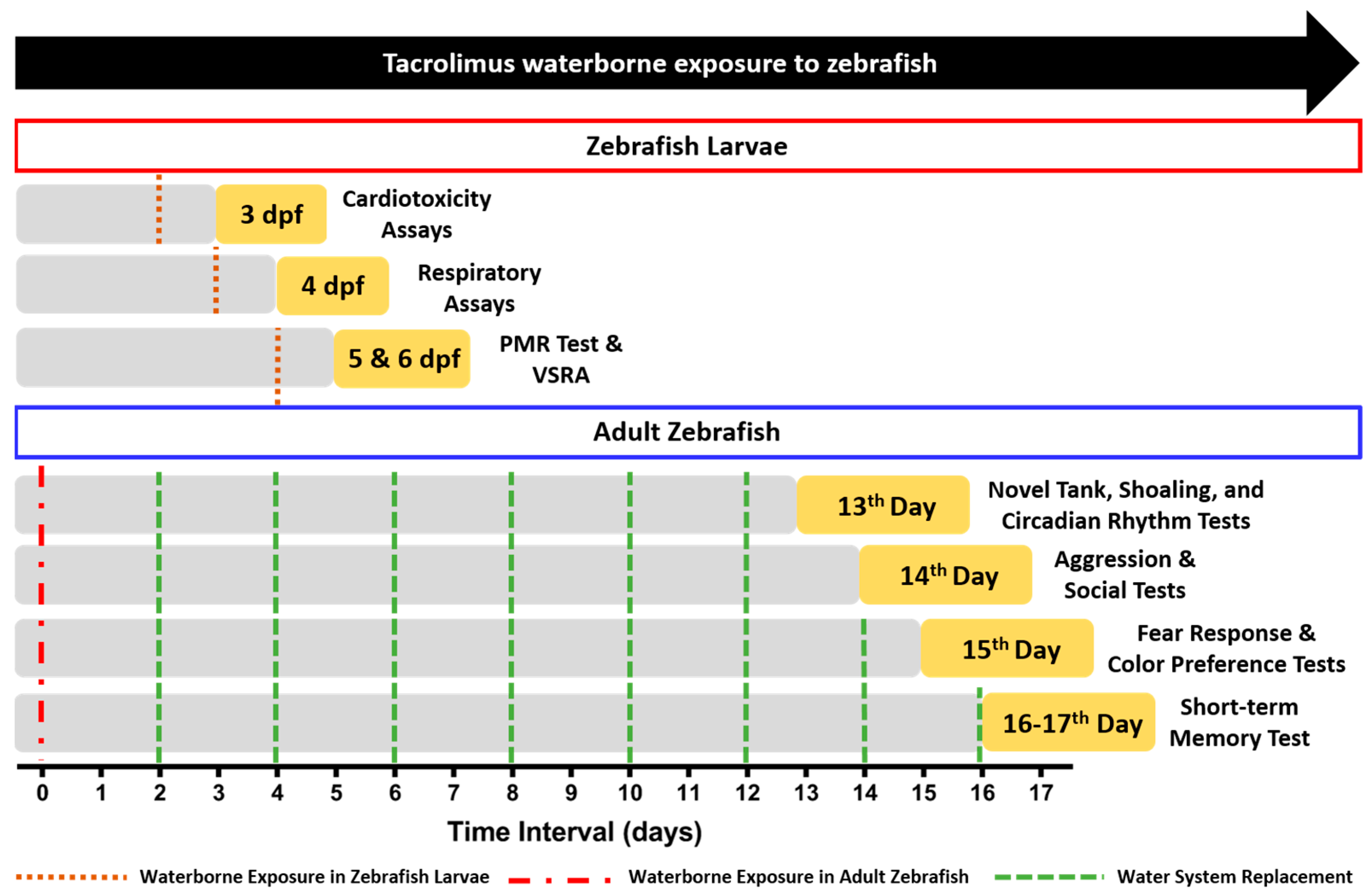 Biology 13 00112 g001