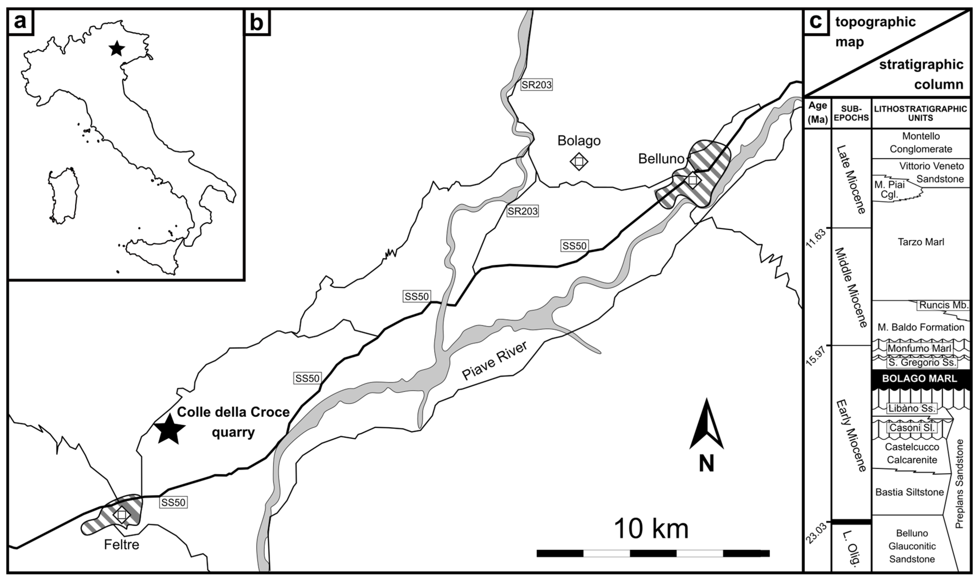 Biology 13 00114 g001 Biology 13 00114 g001