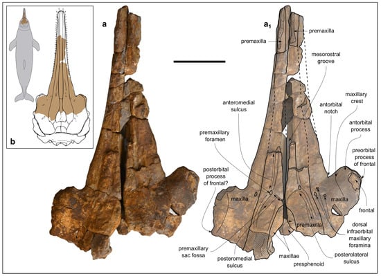 Biology 13 00114 g003