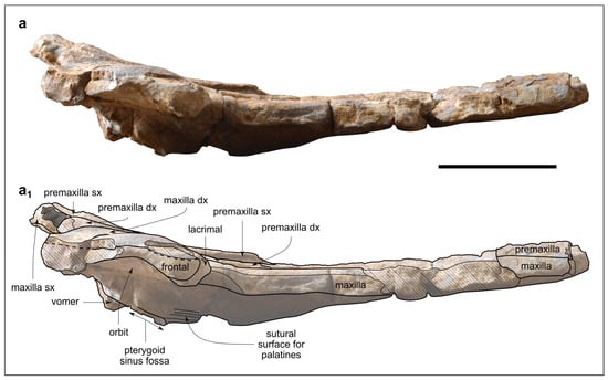 Biology 13 00114 g005