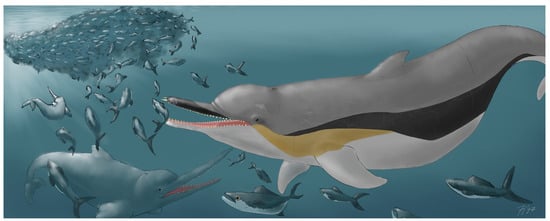 Biology 13 00114 g011