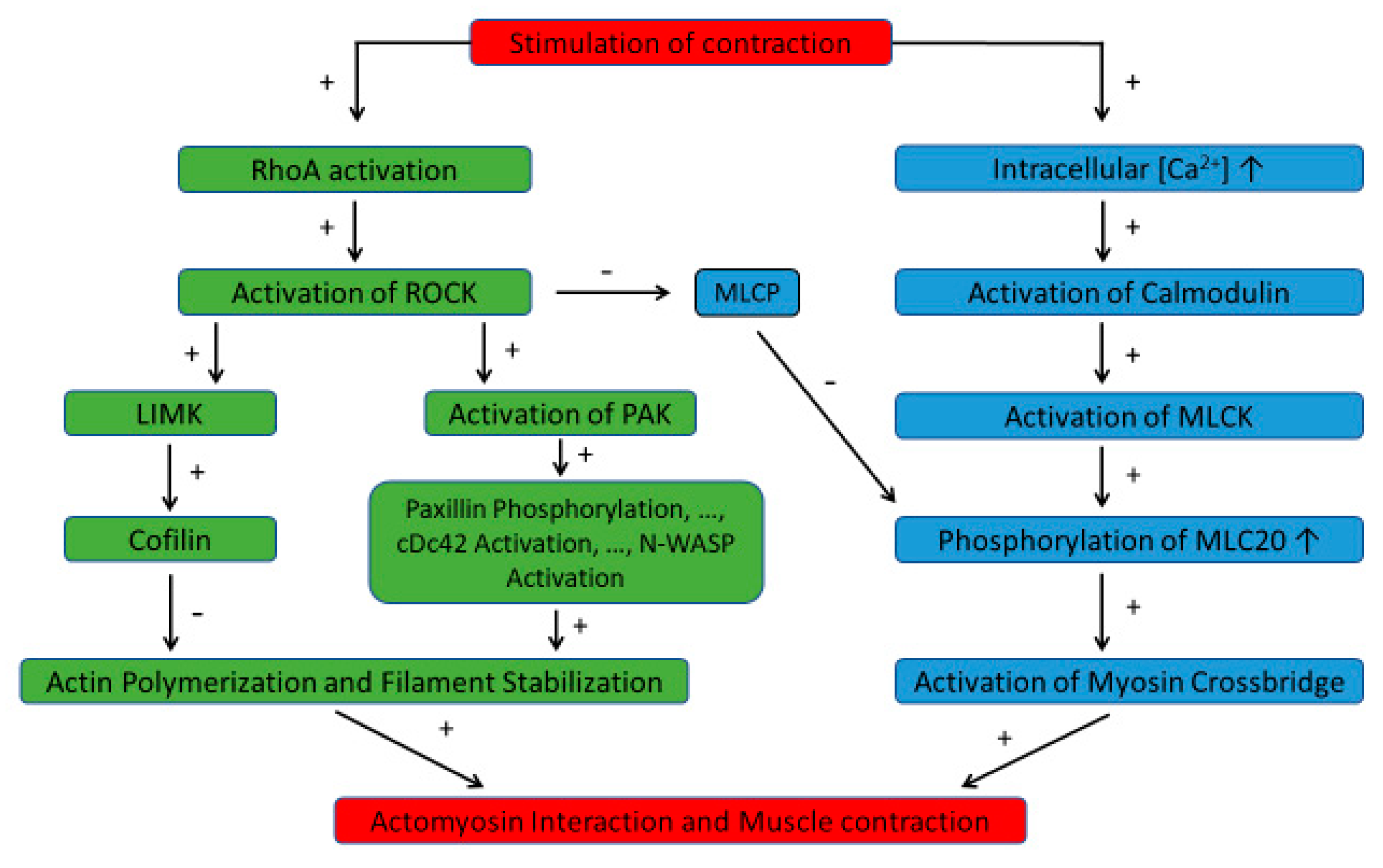 Biology 13 00115 g001