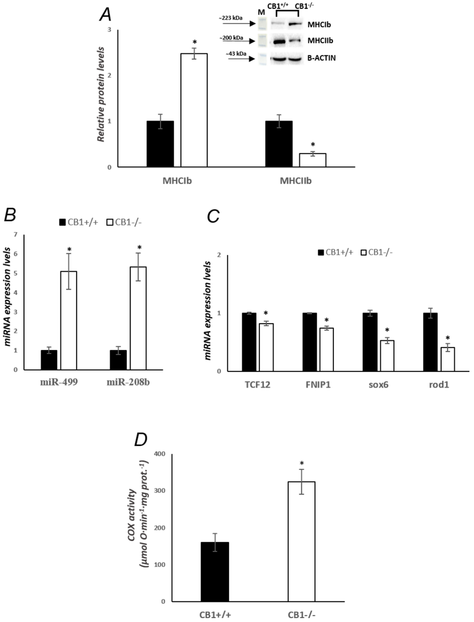 Biology 13 00116 g001
