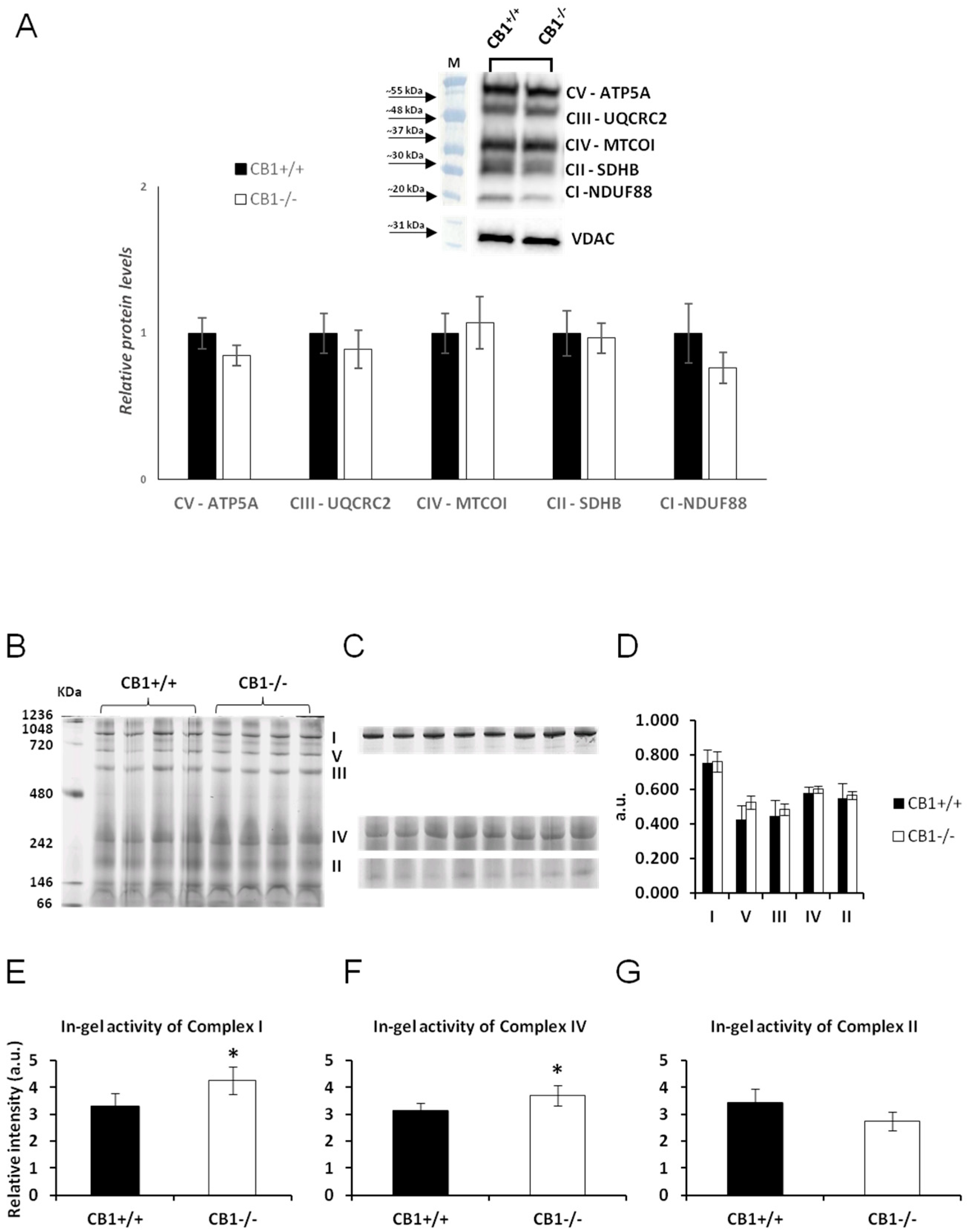 Biology 13 00116 g002