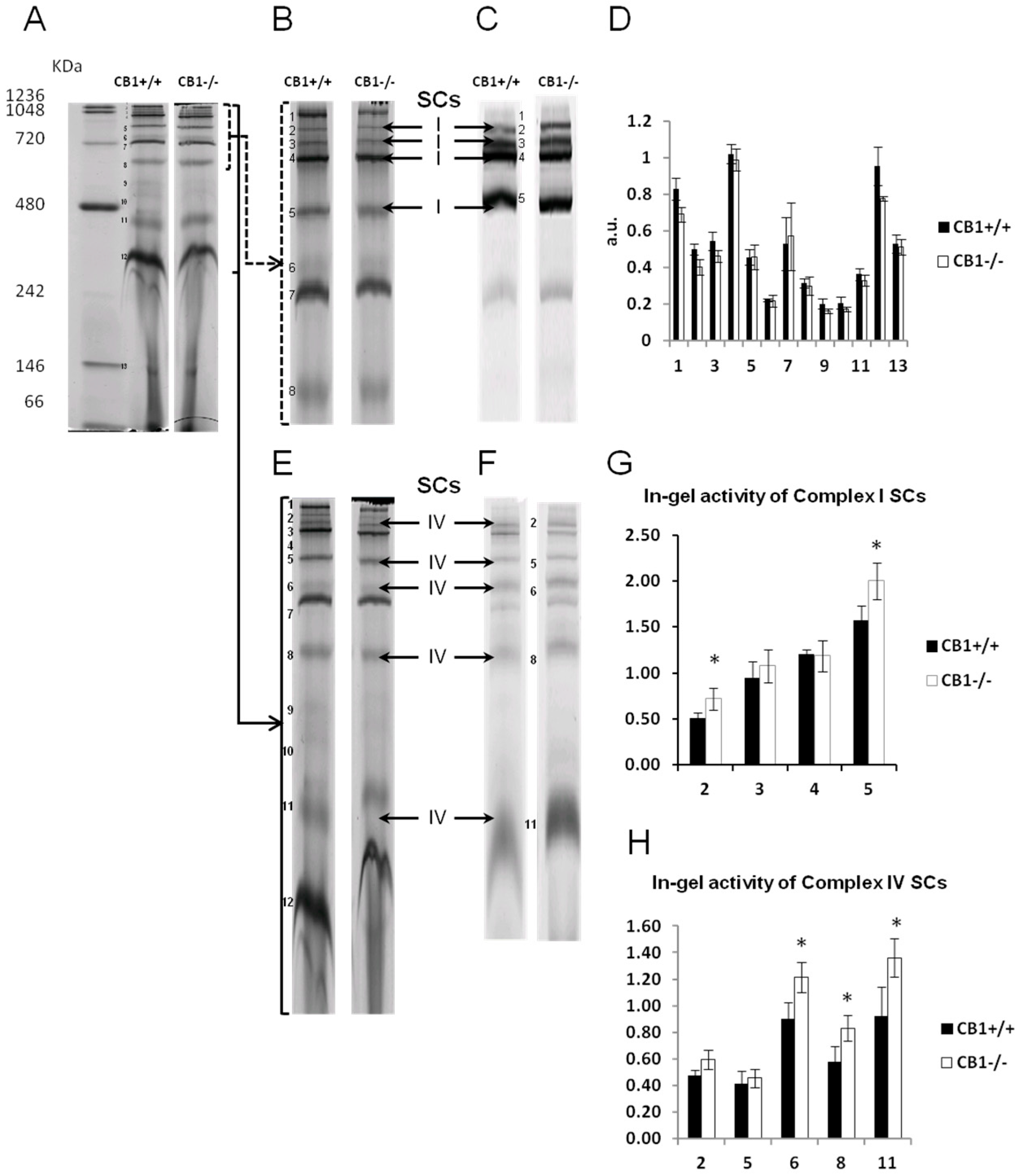 Biology 13 00116 g003