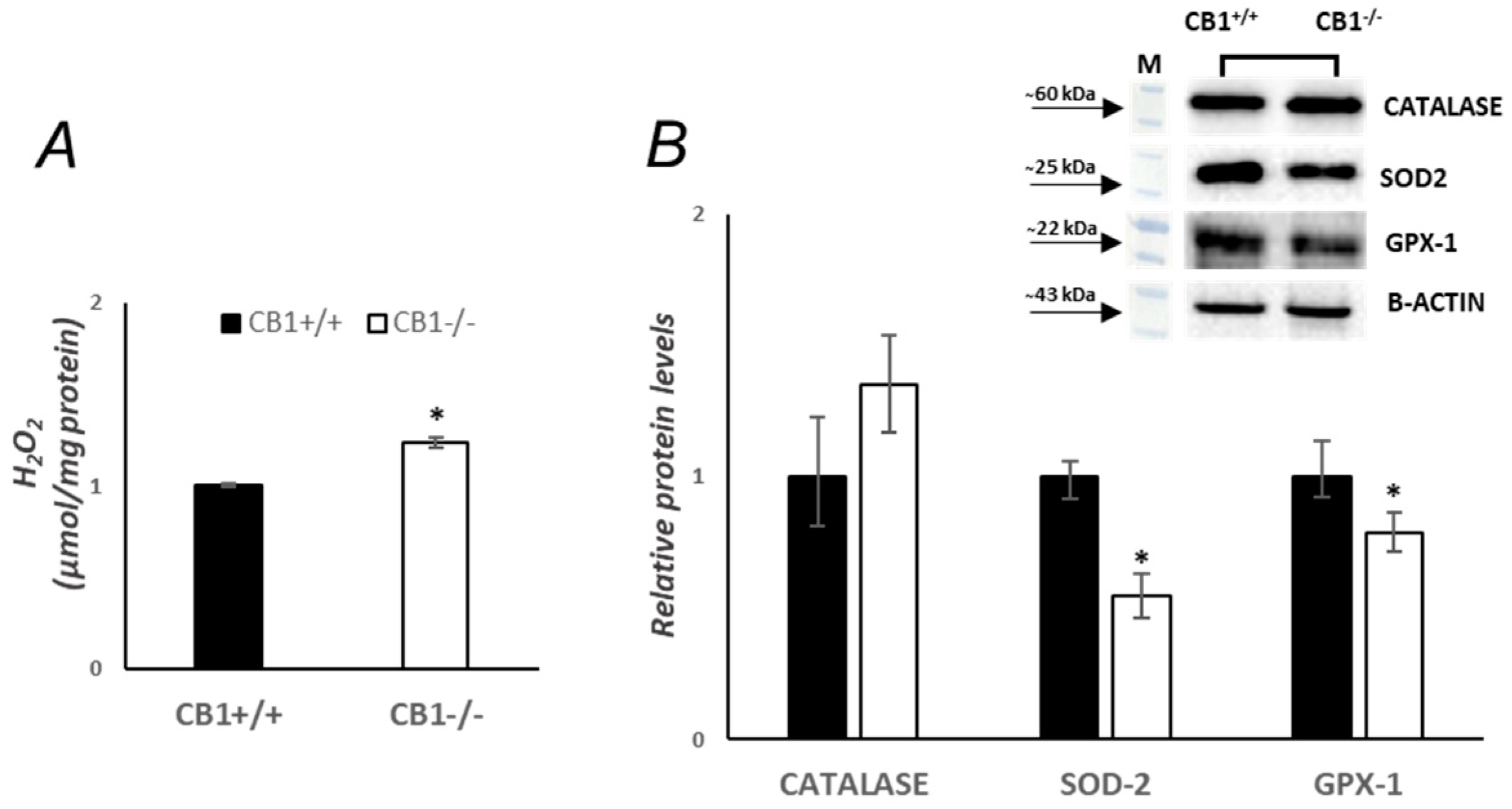 Biology 13 00116 g004