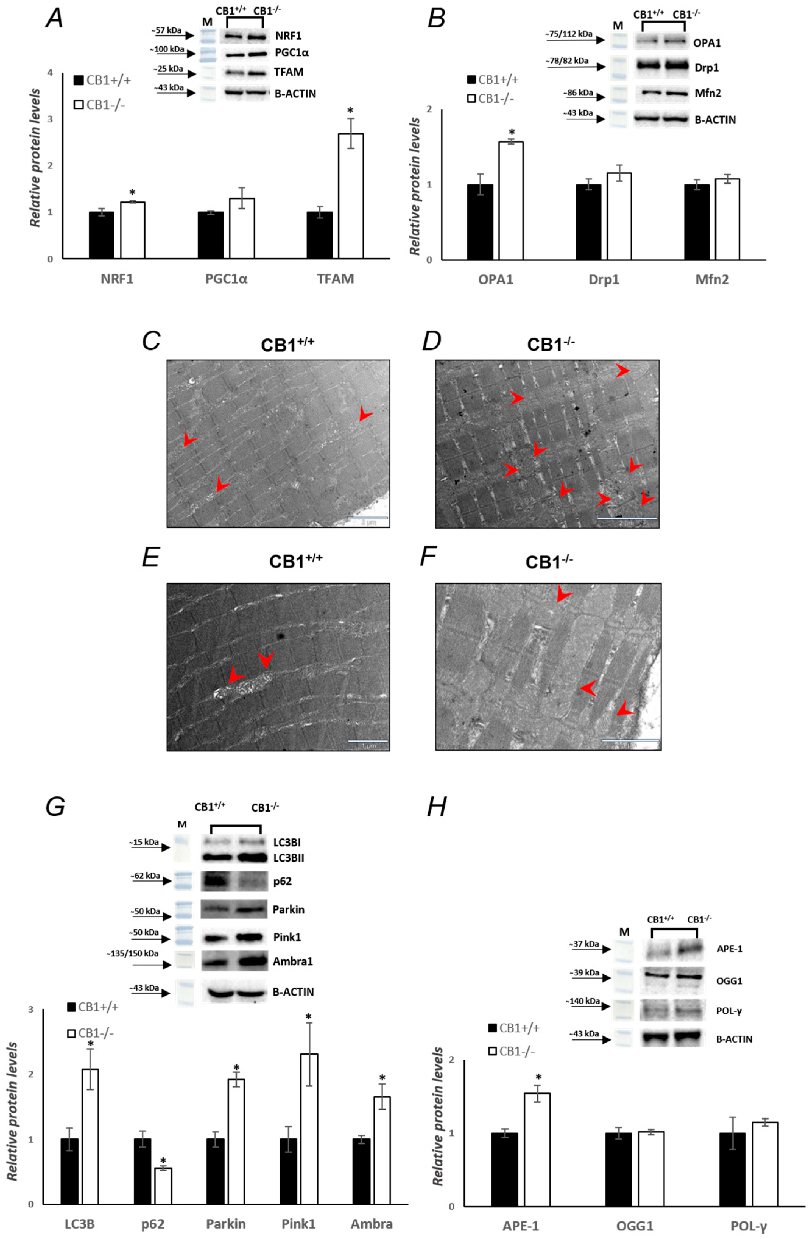 Biology 13 00116 g005