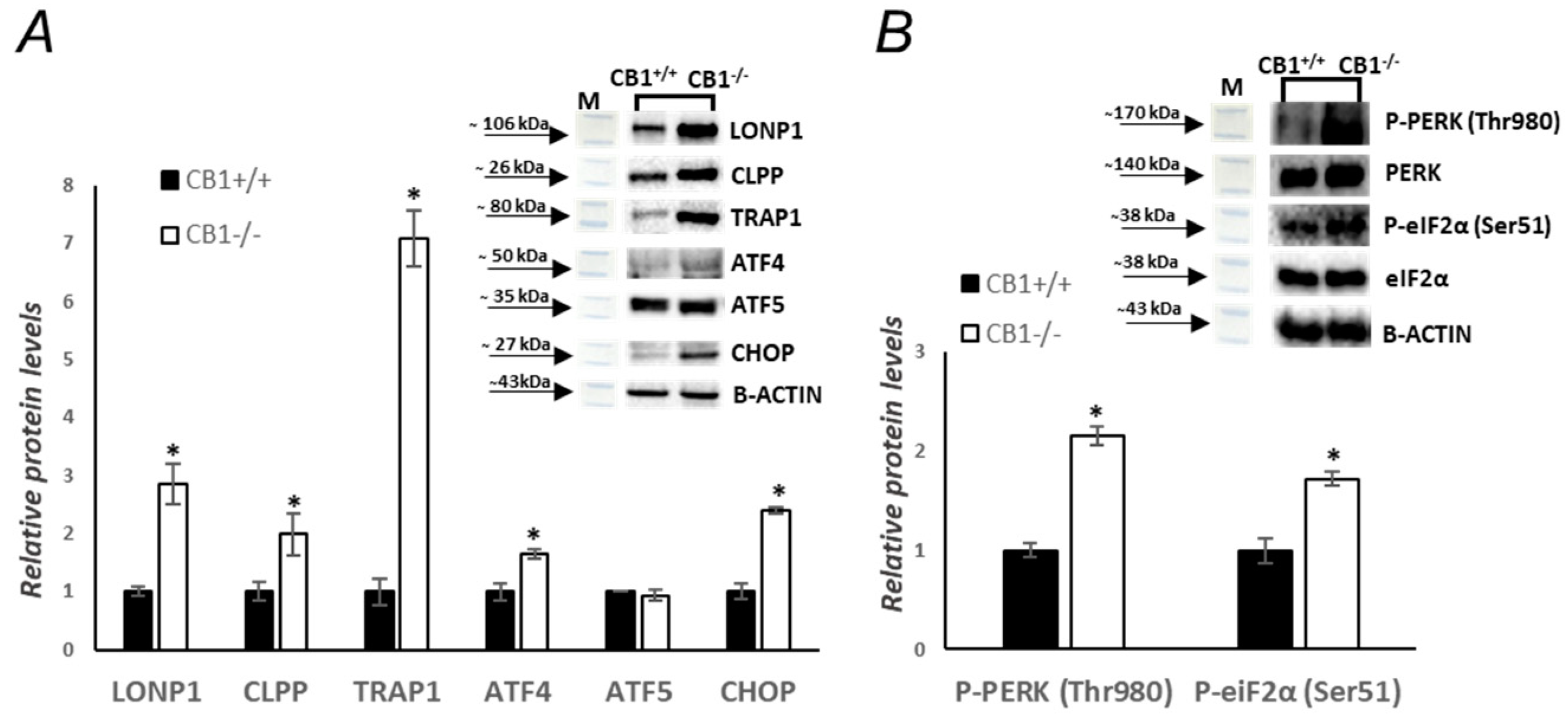 Biology 13 00116 g006