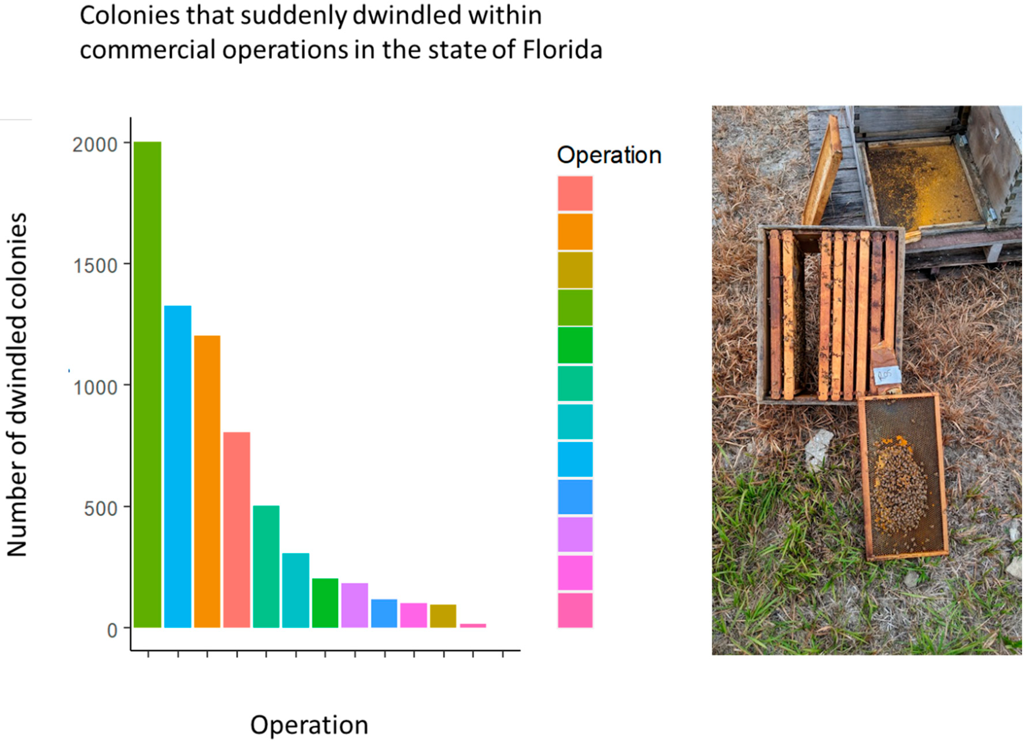 Biology 13 00117 g001
