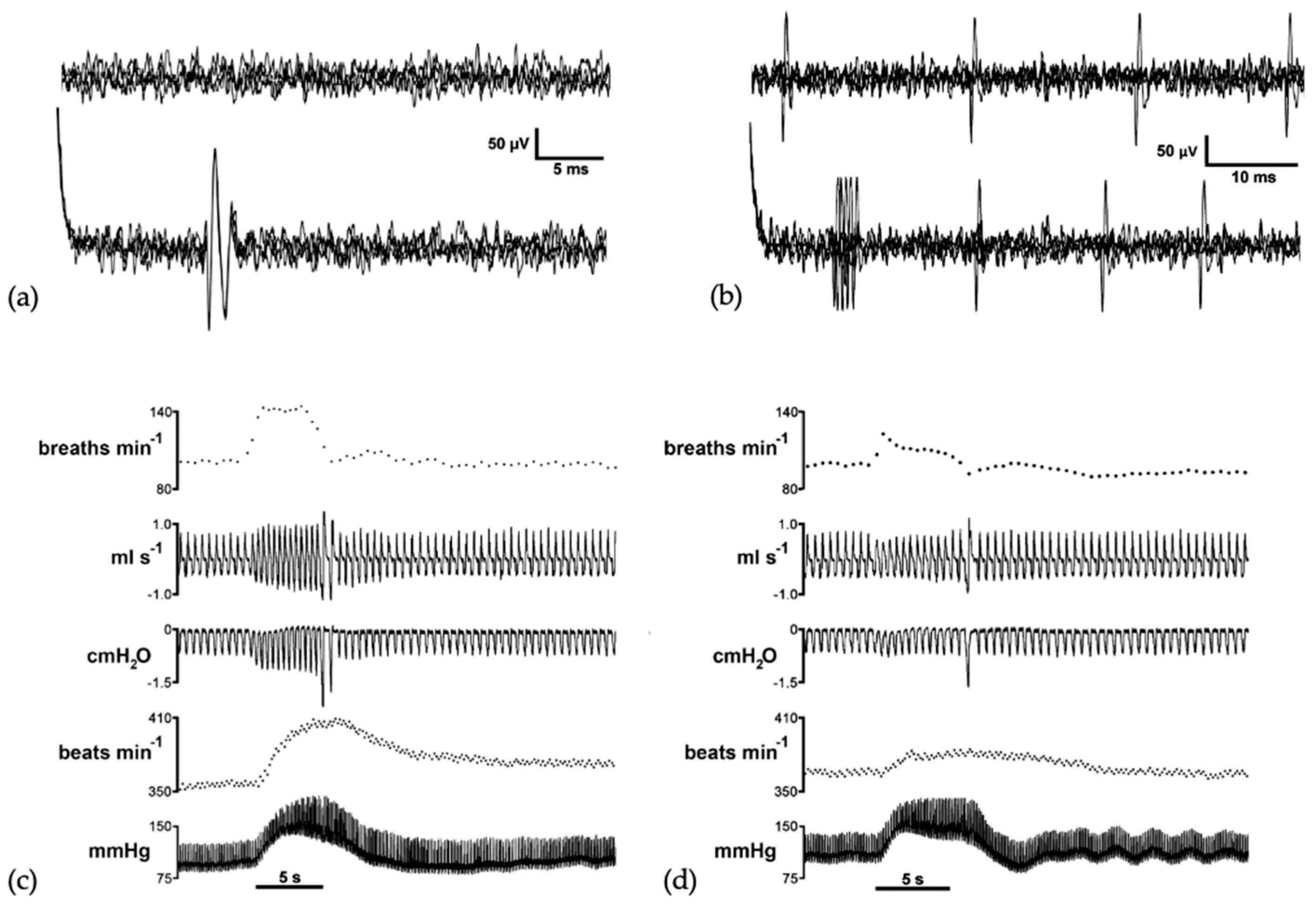 Biology 13 00118 g002