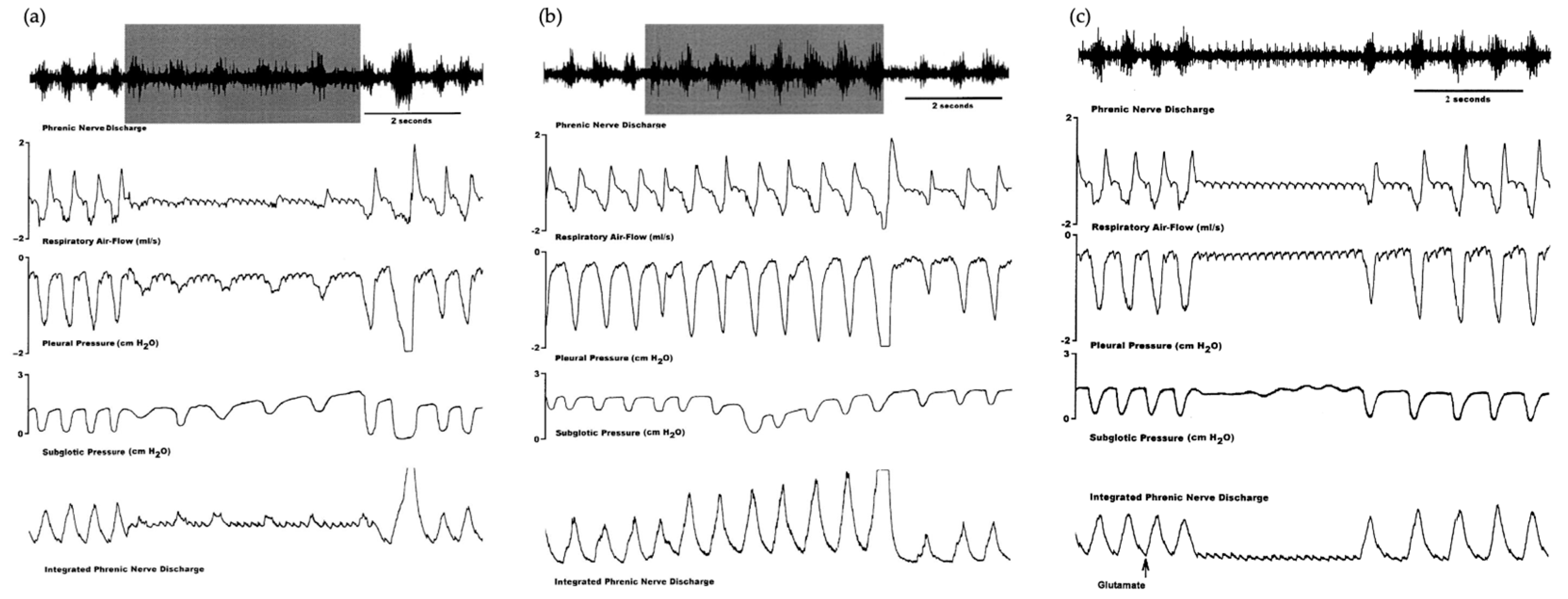 Biology 13 00118 g003