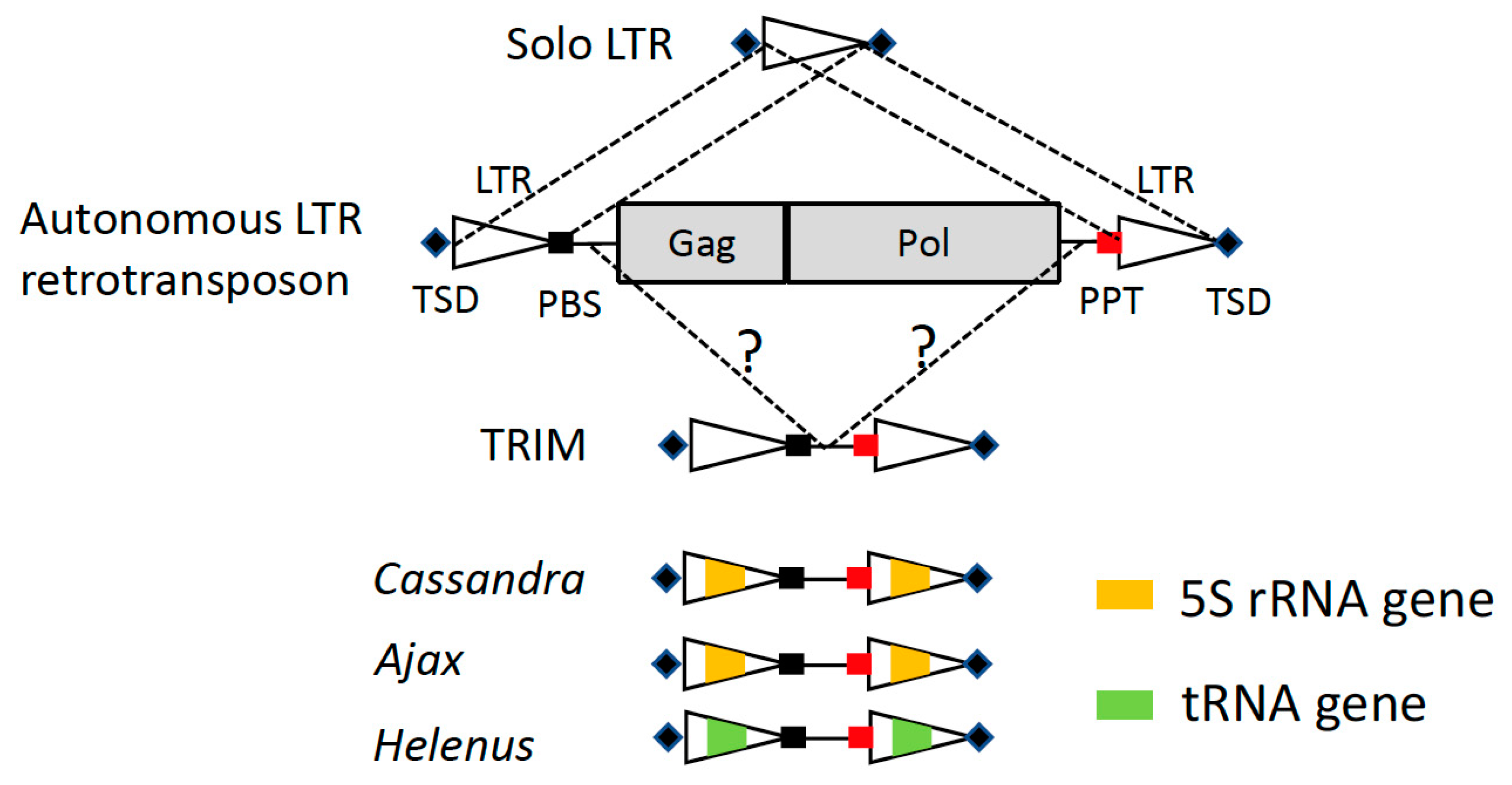 Biology 13 00119 g001 Biology 13 00119 g001