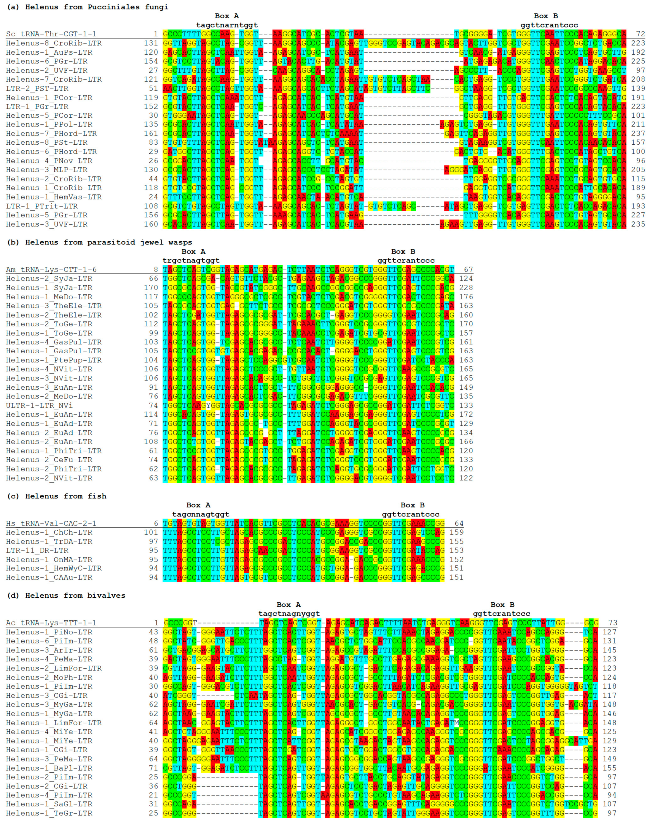 Biology 13 00119 g002 Biology 13 00119 g002