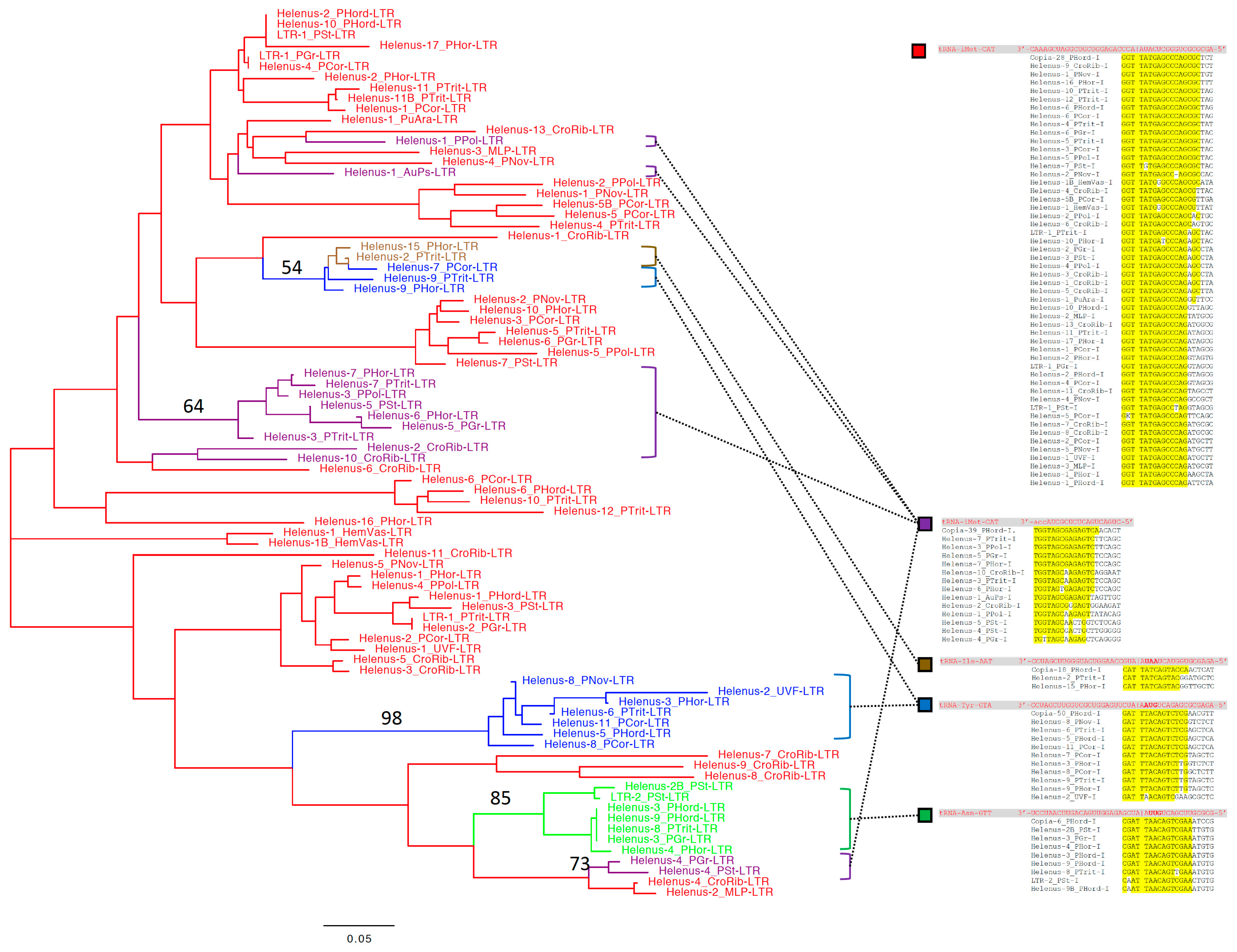 Biology 13 00119 g003 Biology 13 00119 g003