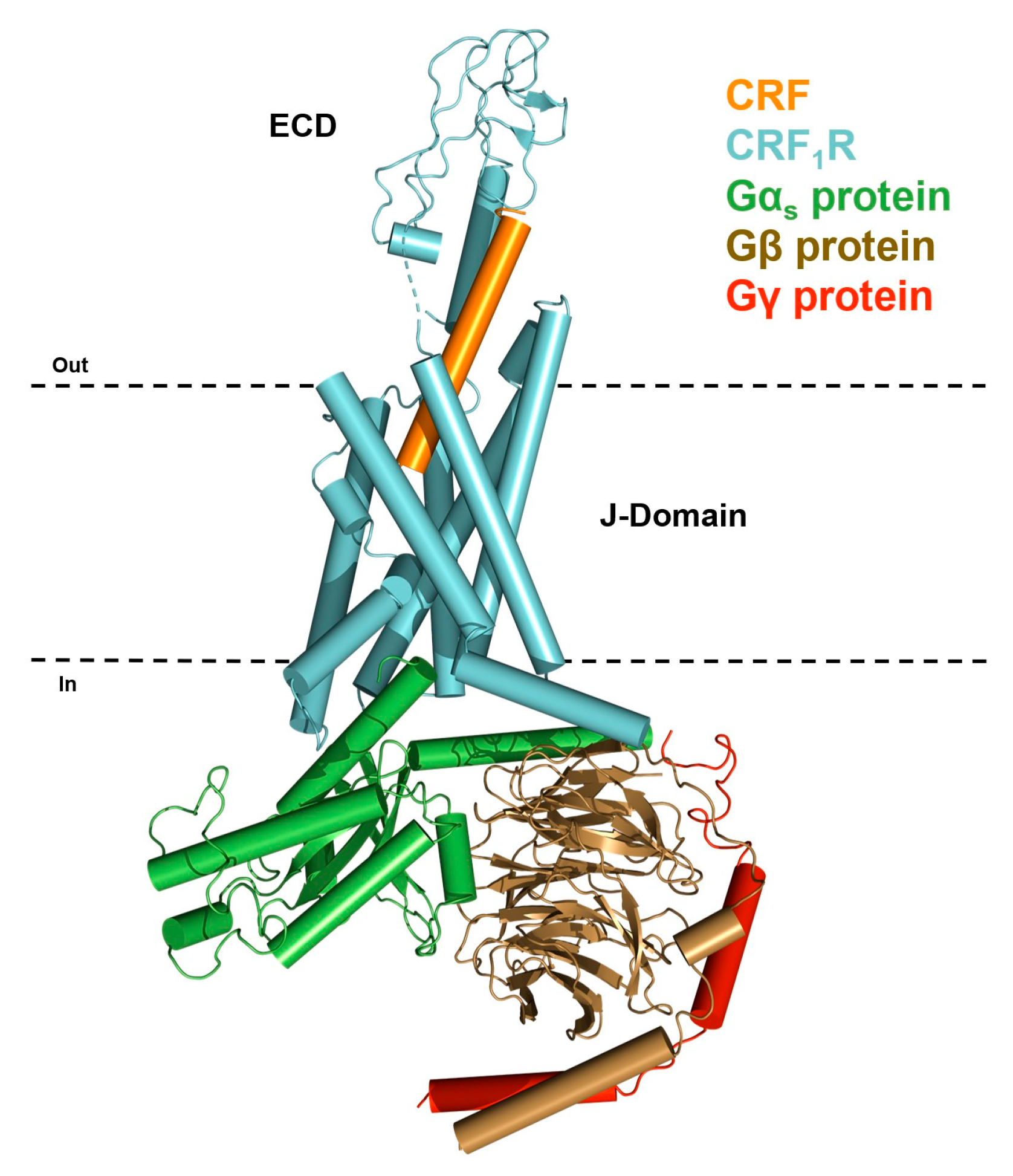 Biology 13 00120 g001