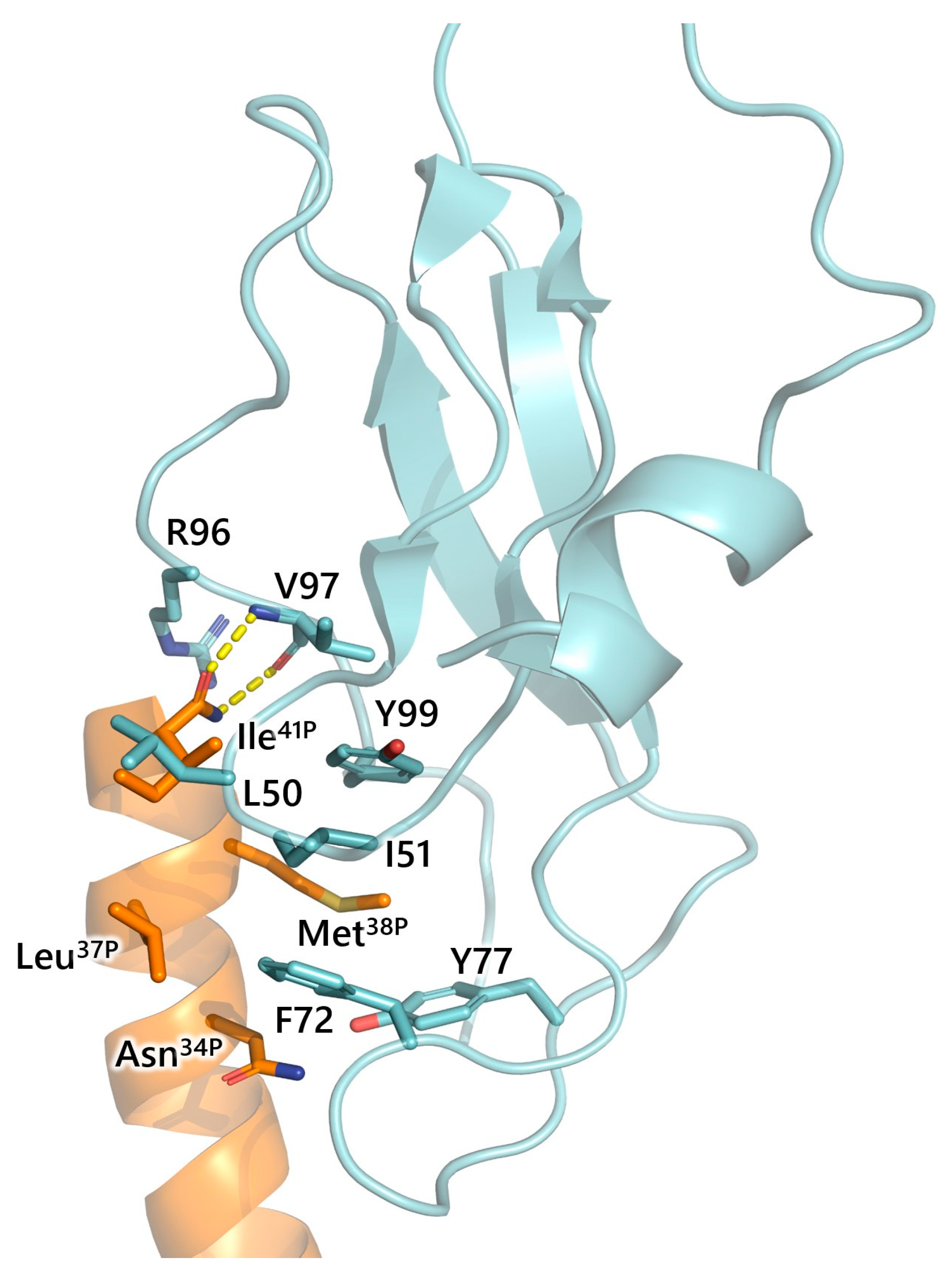 Biology 13 00120 g005