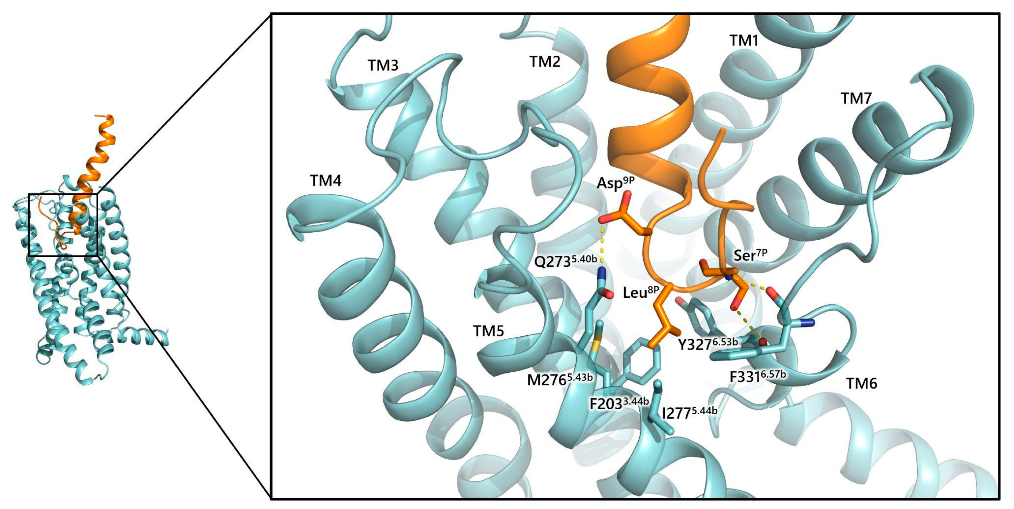 Biology 13 00120 g007
