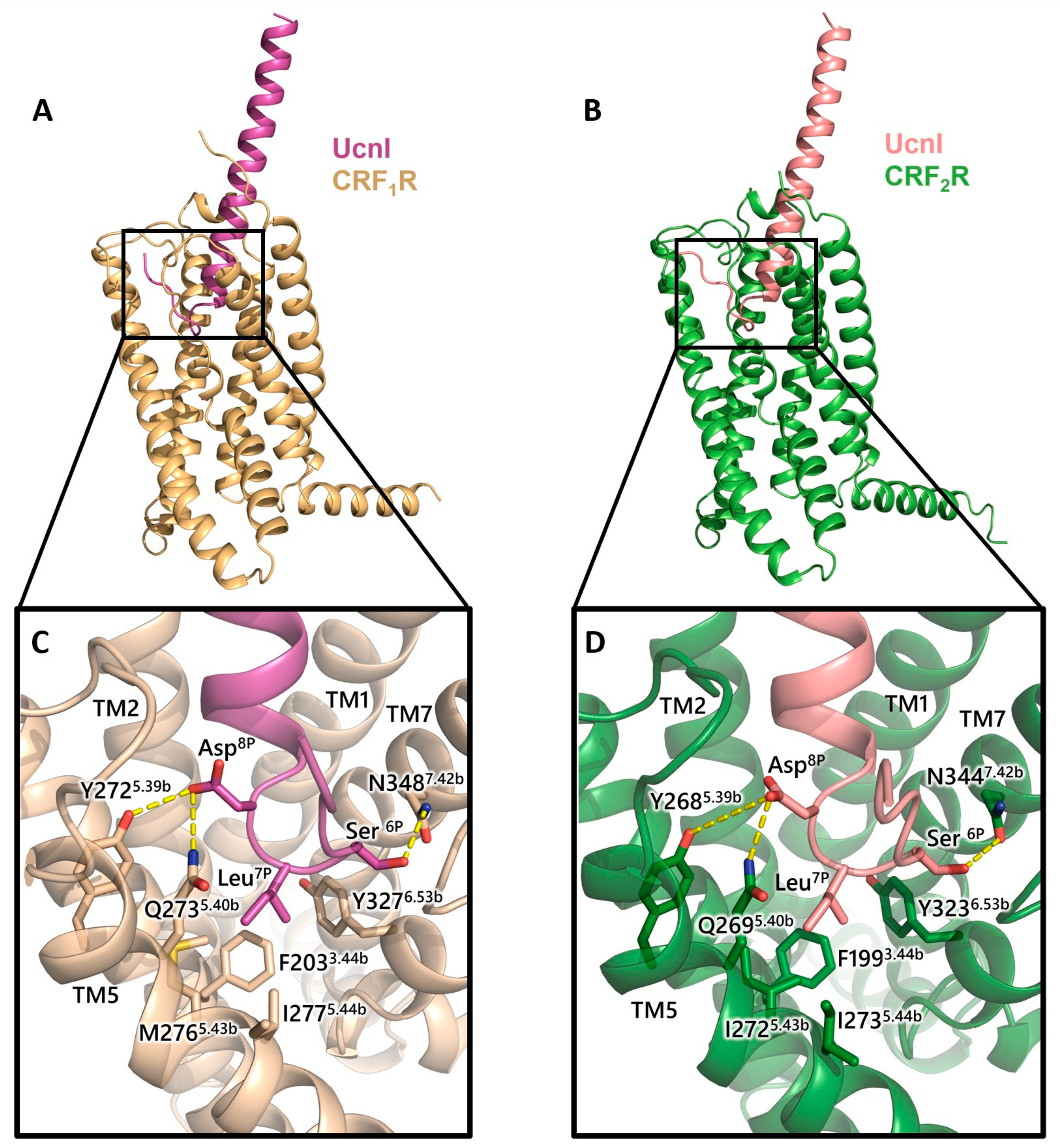 Biology 13 00120 g008
