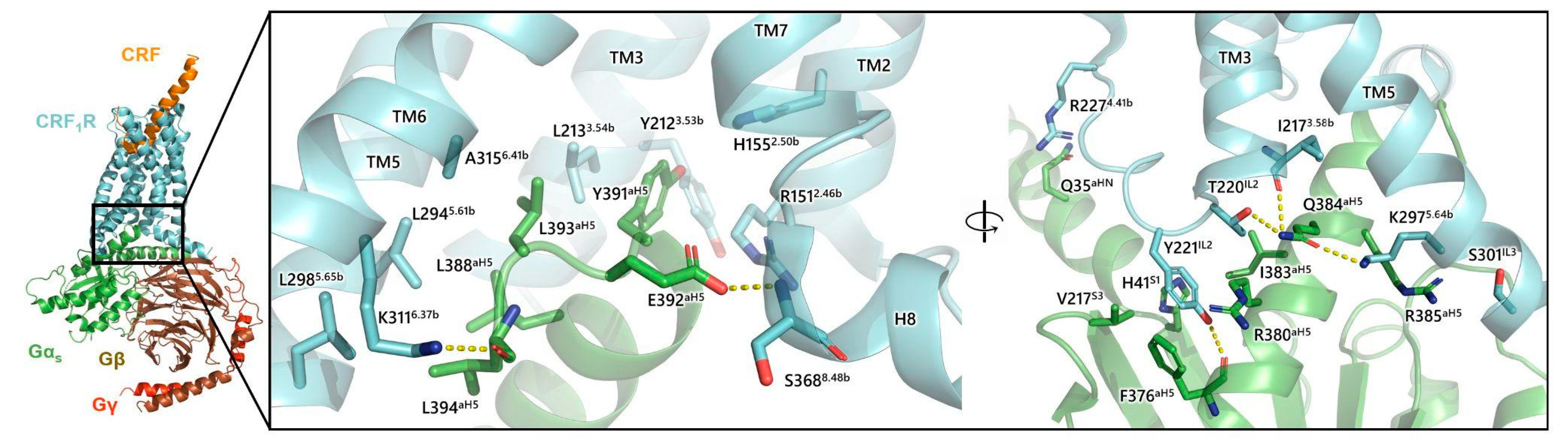 Biology 13 00120 g009