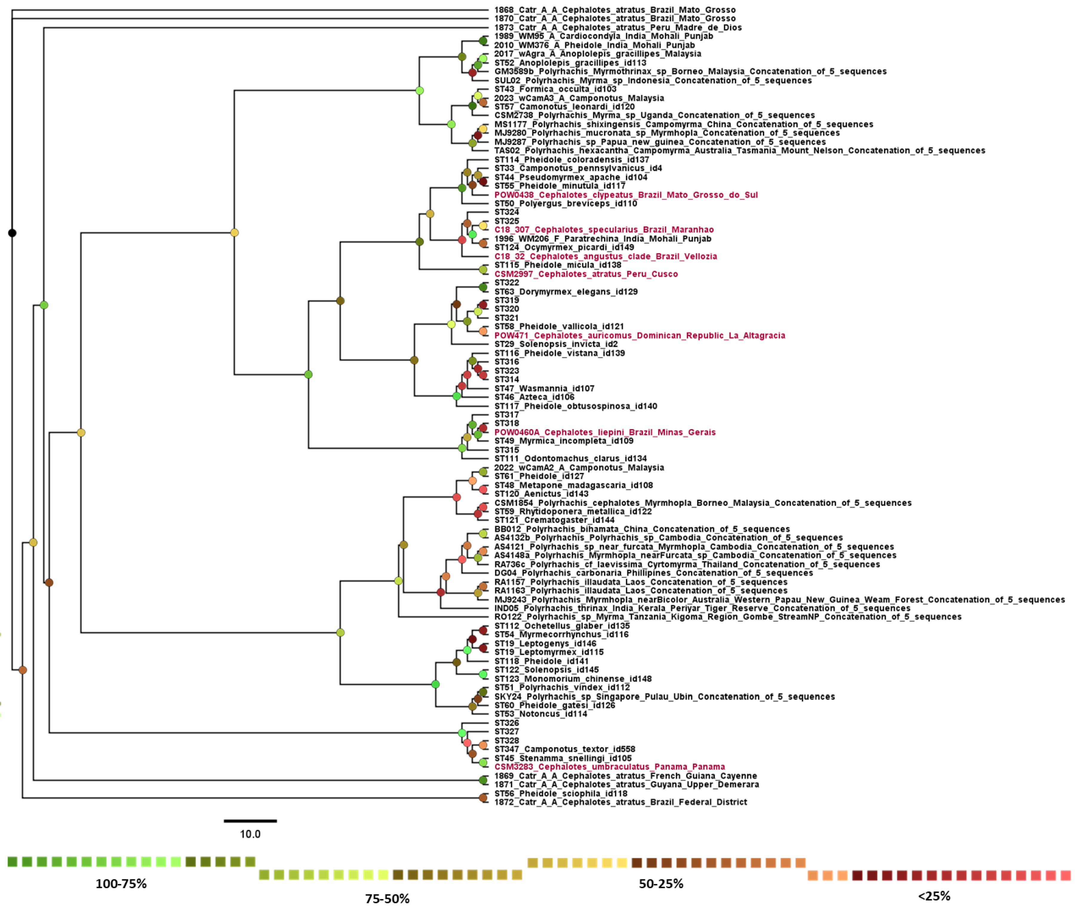 Biology 13 00121 g005