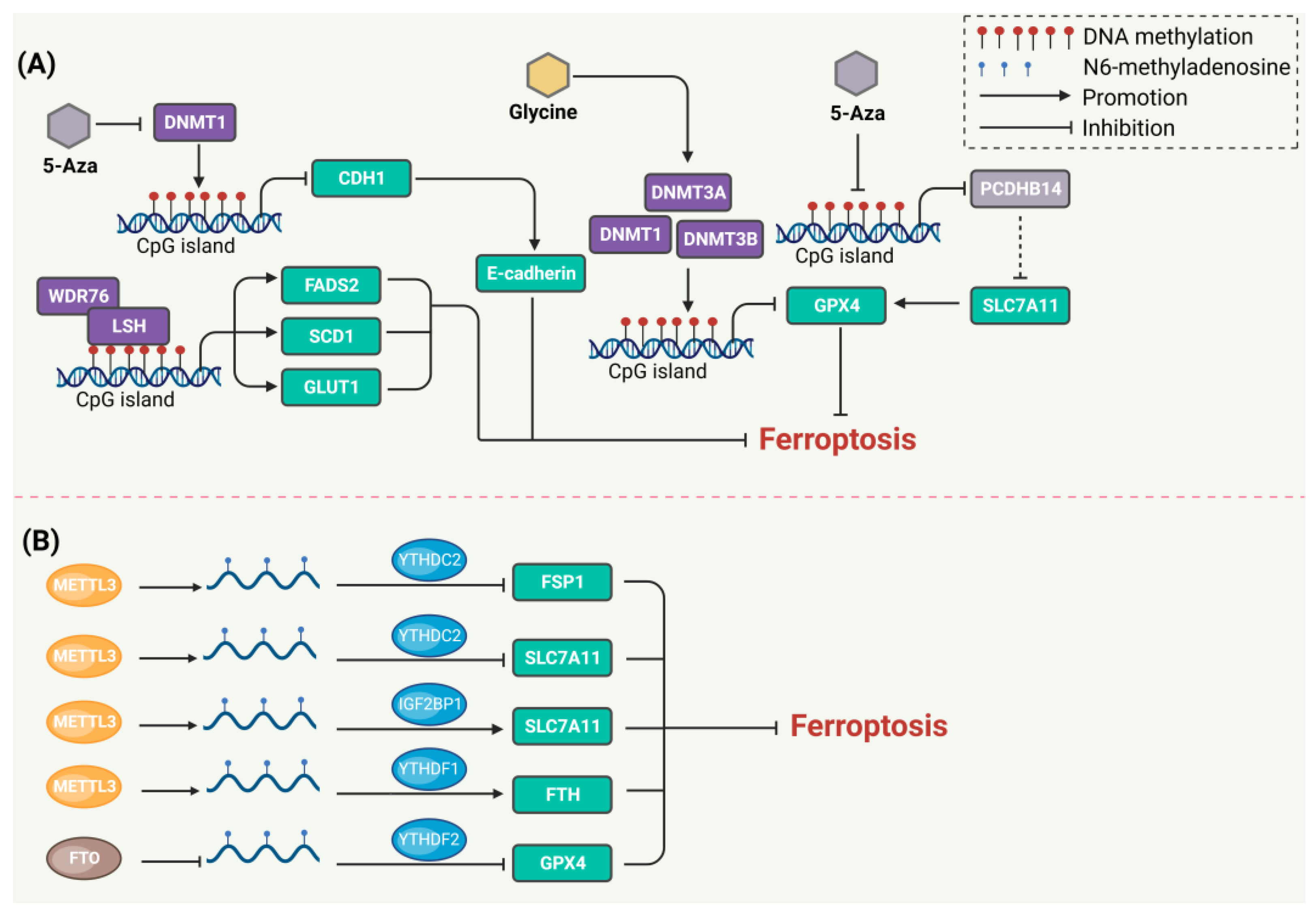 Biology 13 00122 g002
