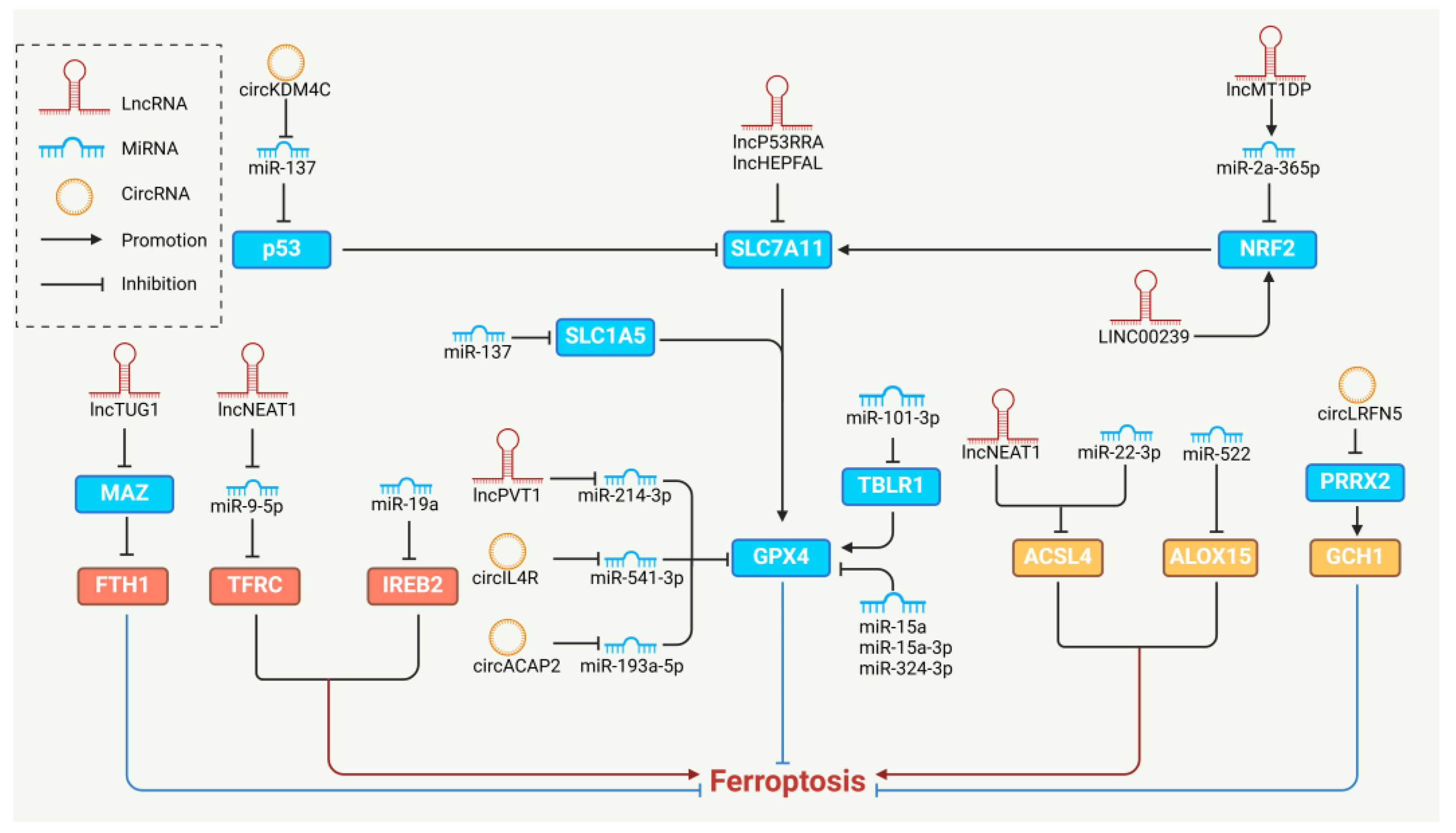 Biology 13 00122 g003