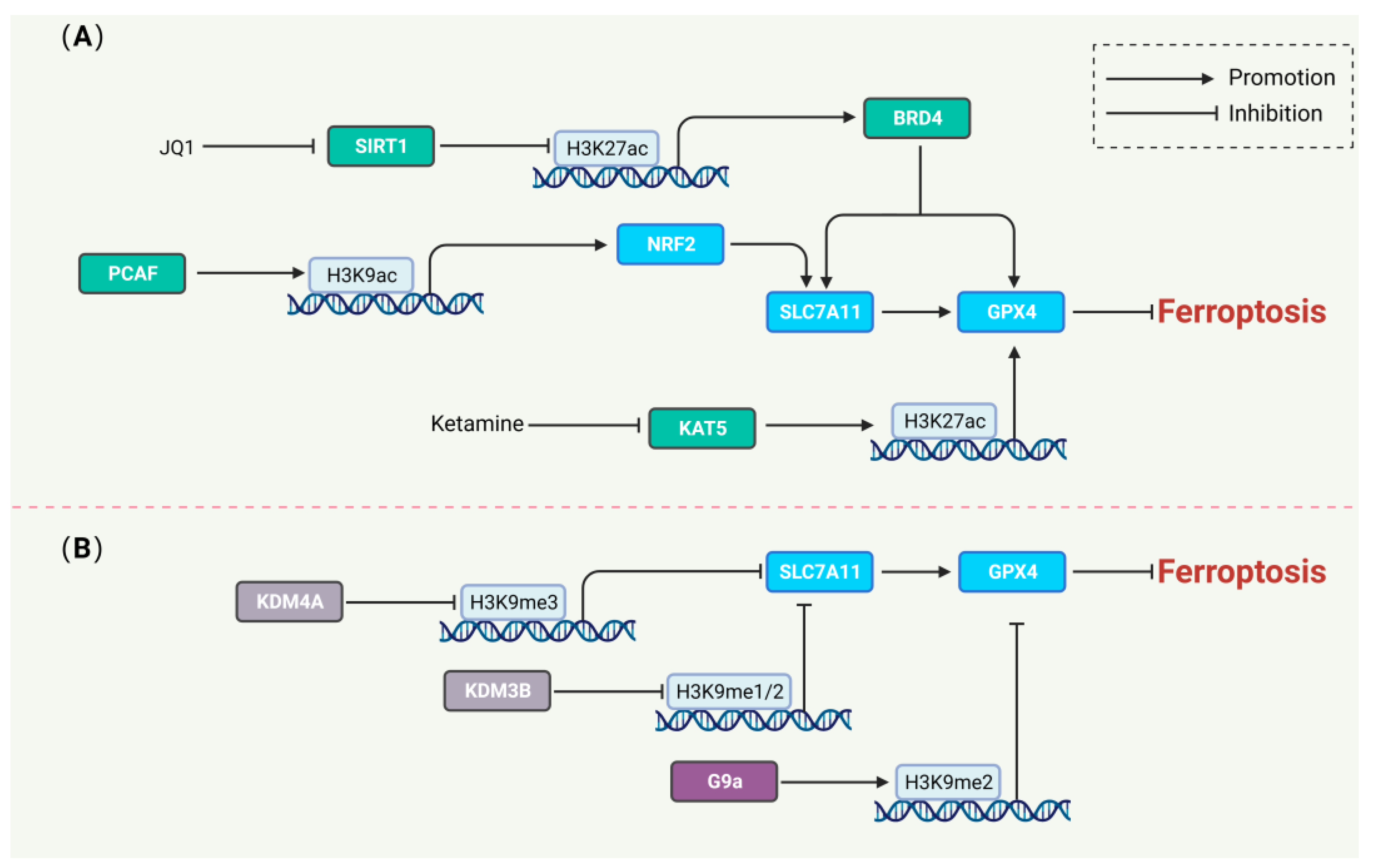 Biology 13 00122 g004