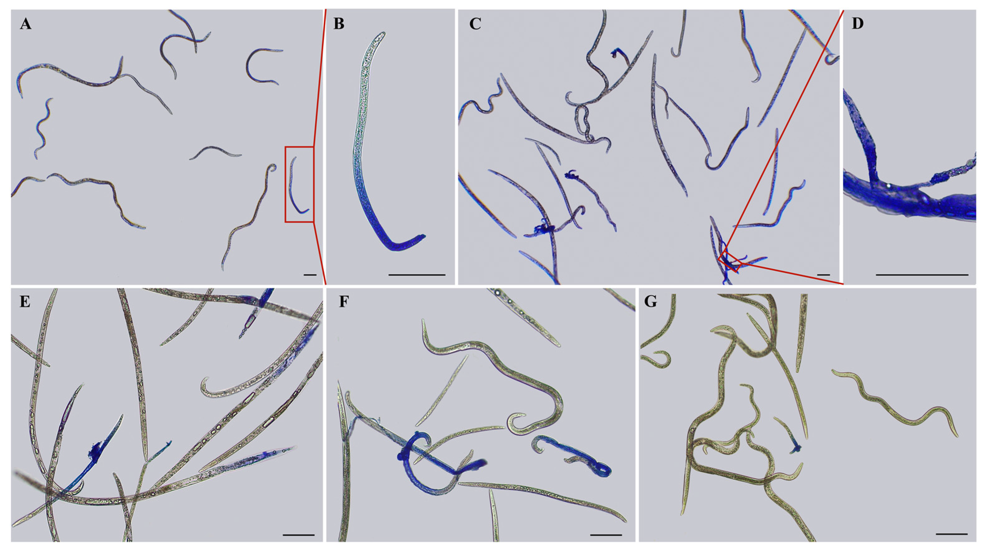 Biology 13 00123 g003
