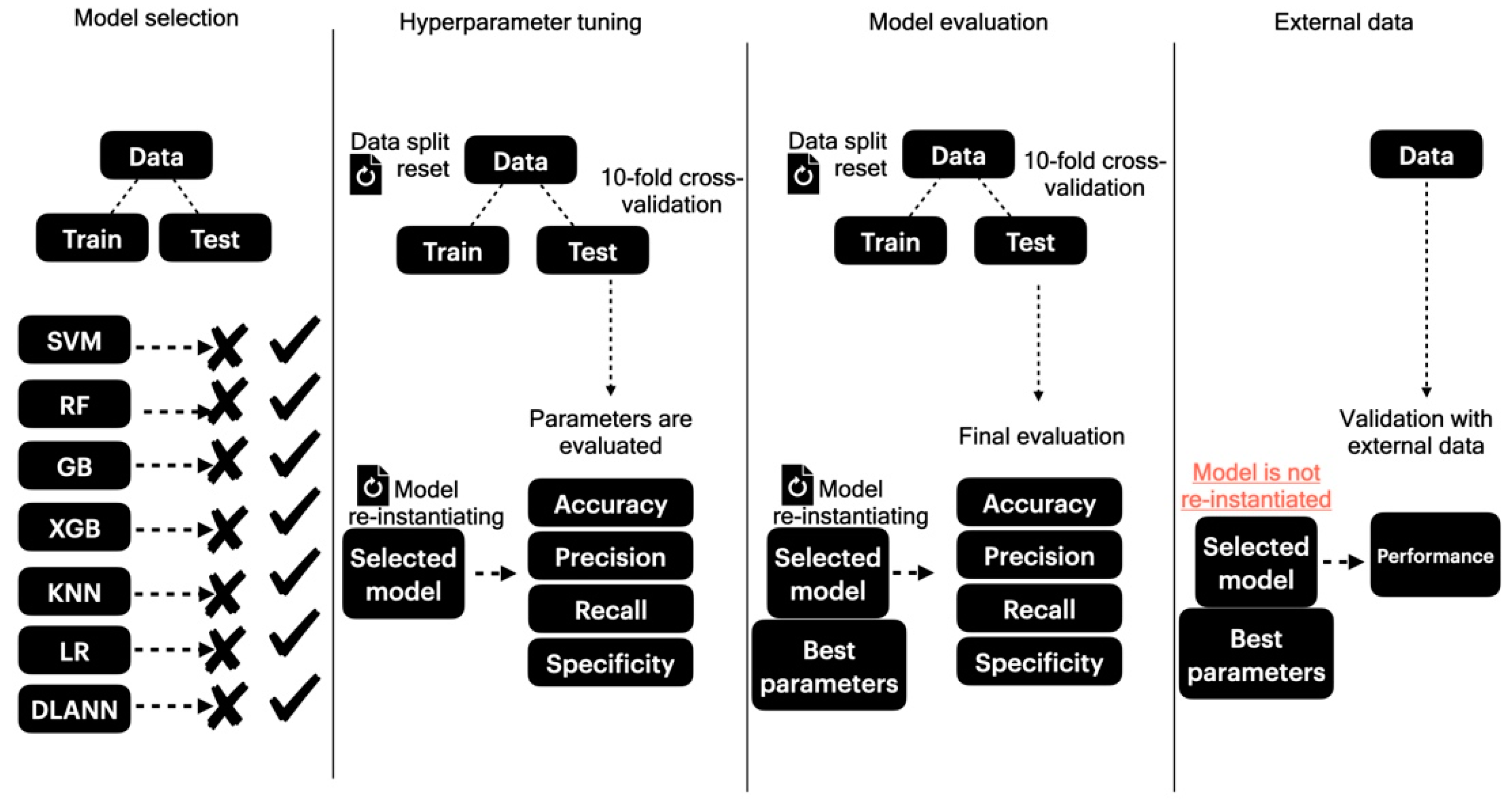 Biology 13 00125 g001